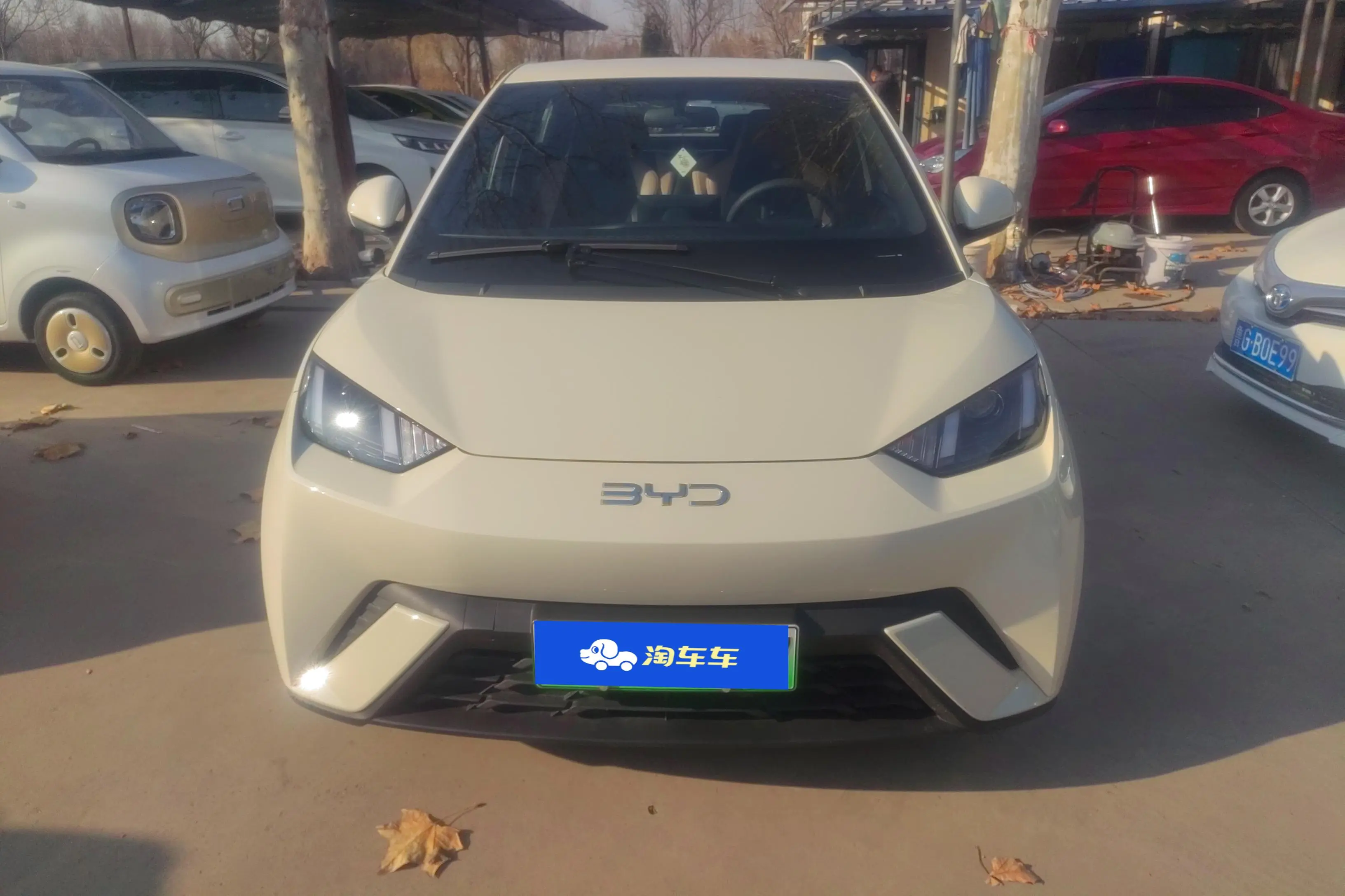 BYD Seagull