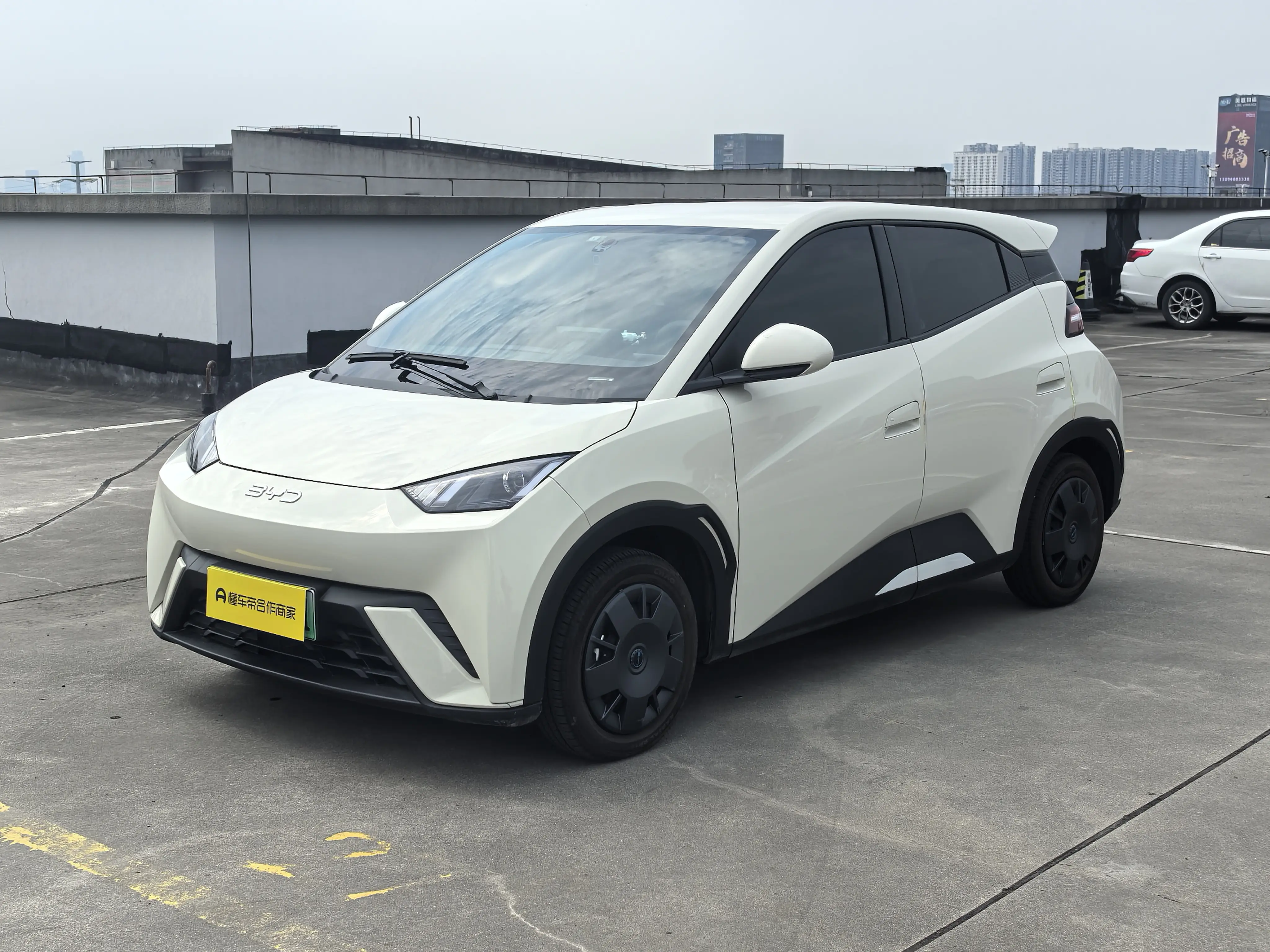 BYD Seagull