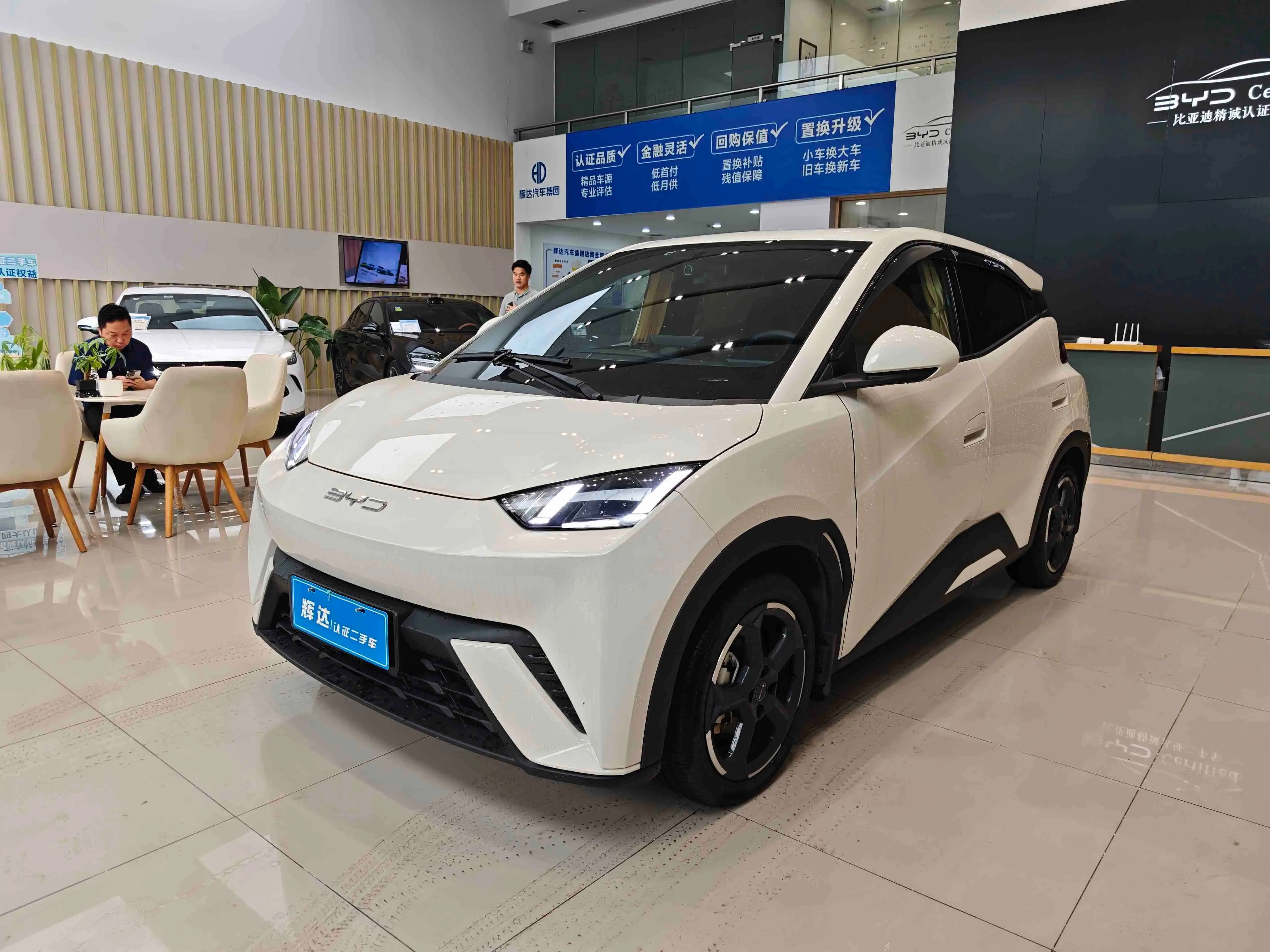 BYD Seagull