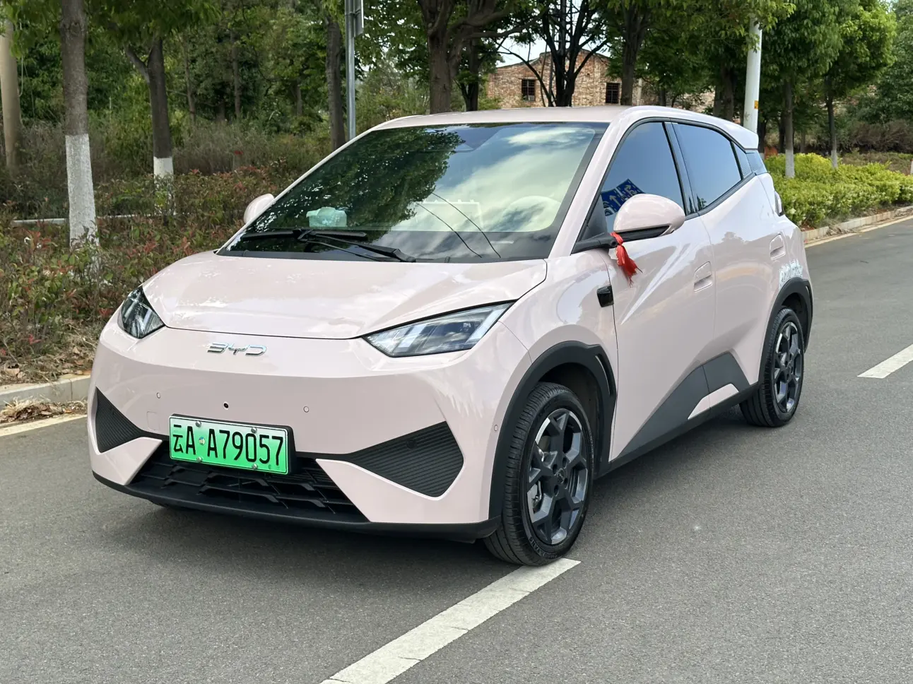 BYD Seagull