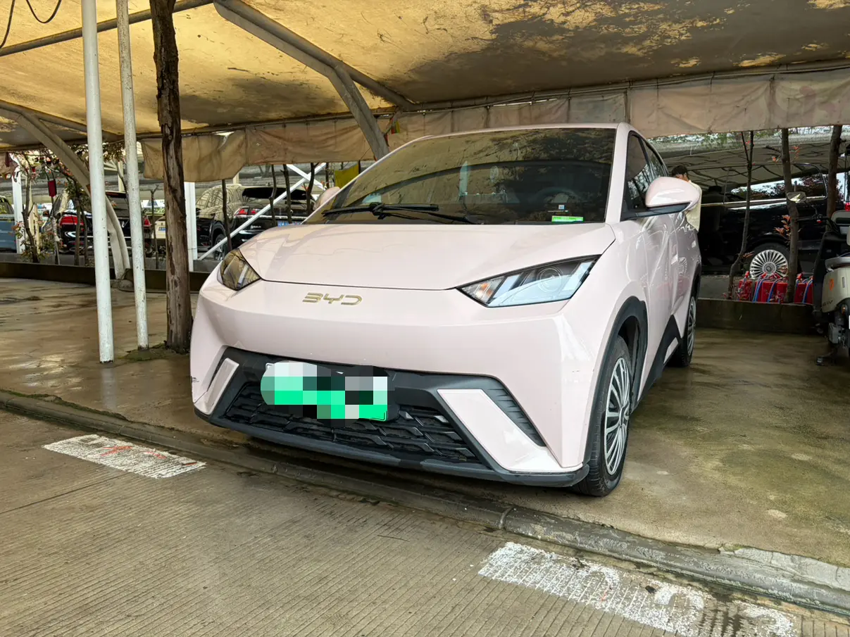 BYD Seagull