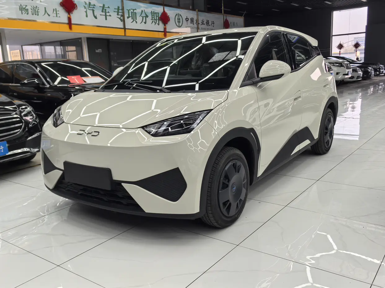 BYD Seagull