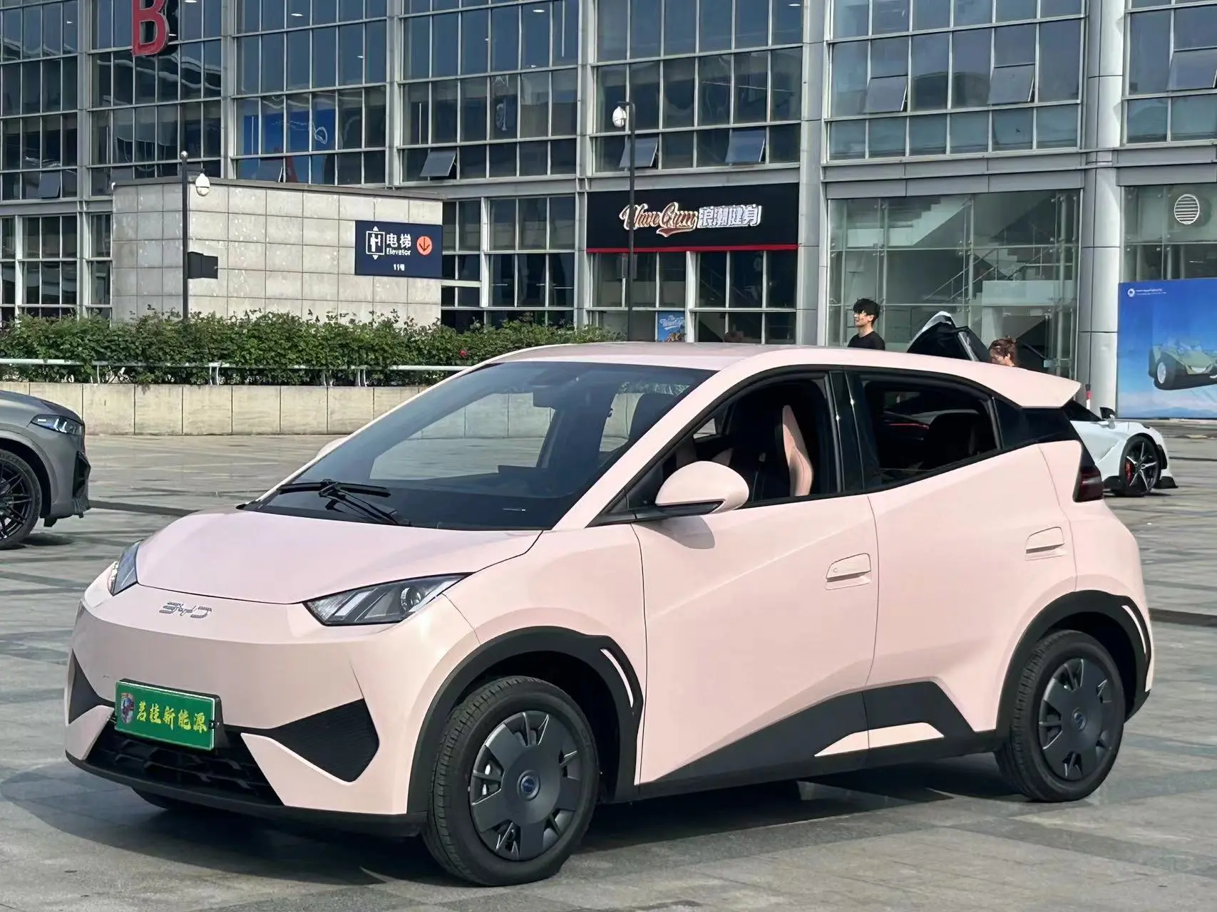 BYD Seagull