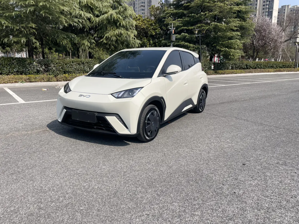 BYD Seagull