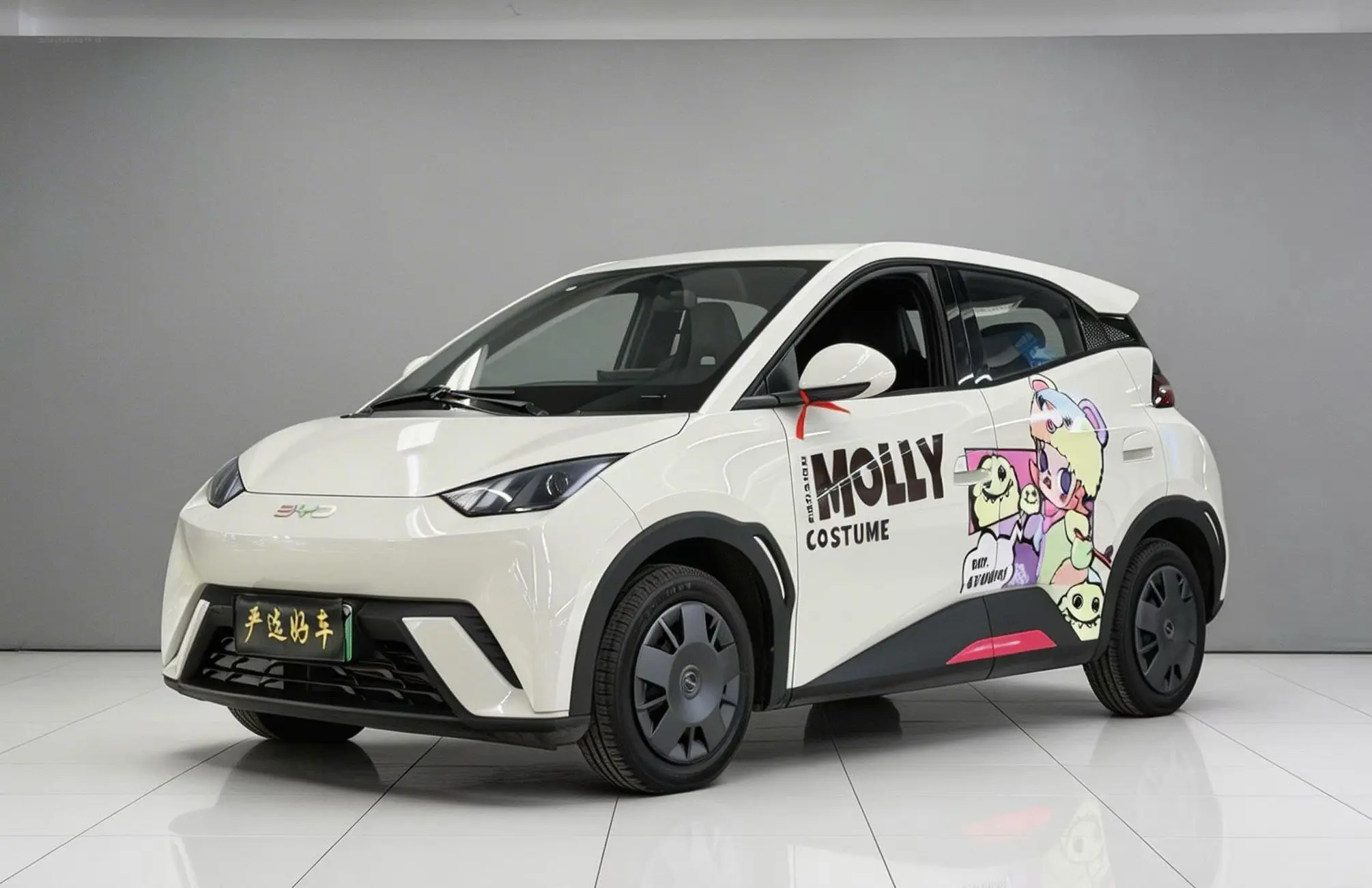 BYD Seagull