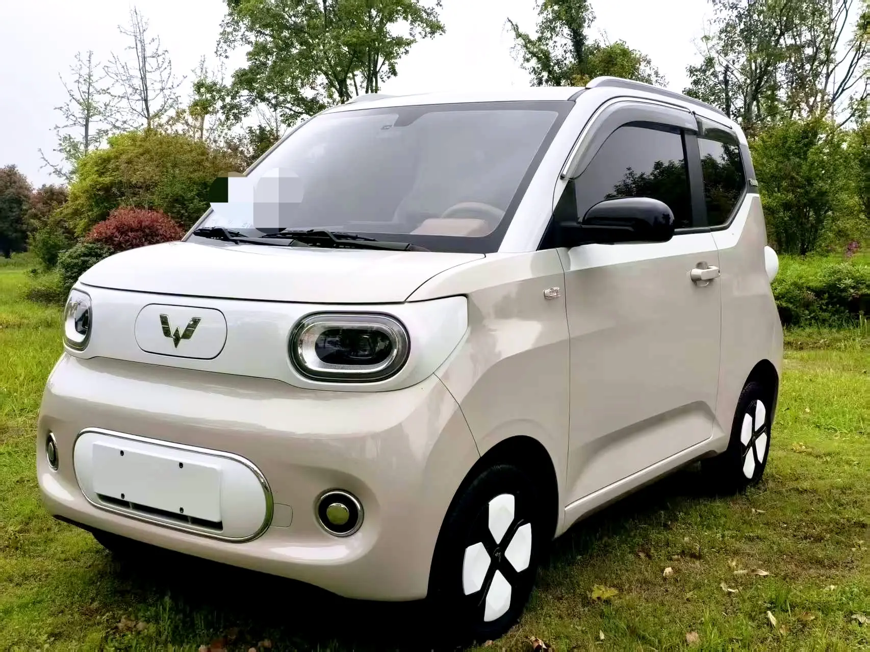 Wuling Hongguang MINIEV