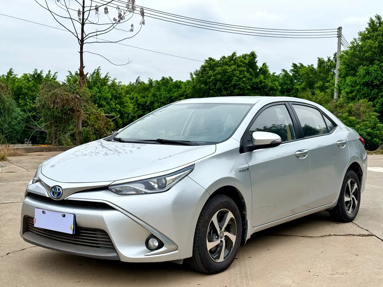 Toyota Levin