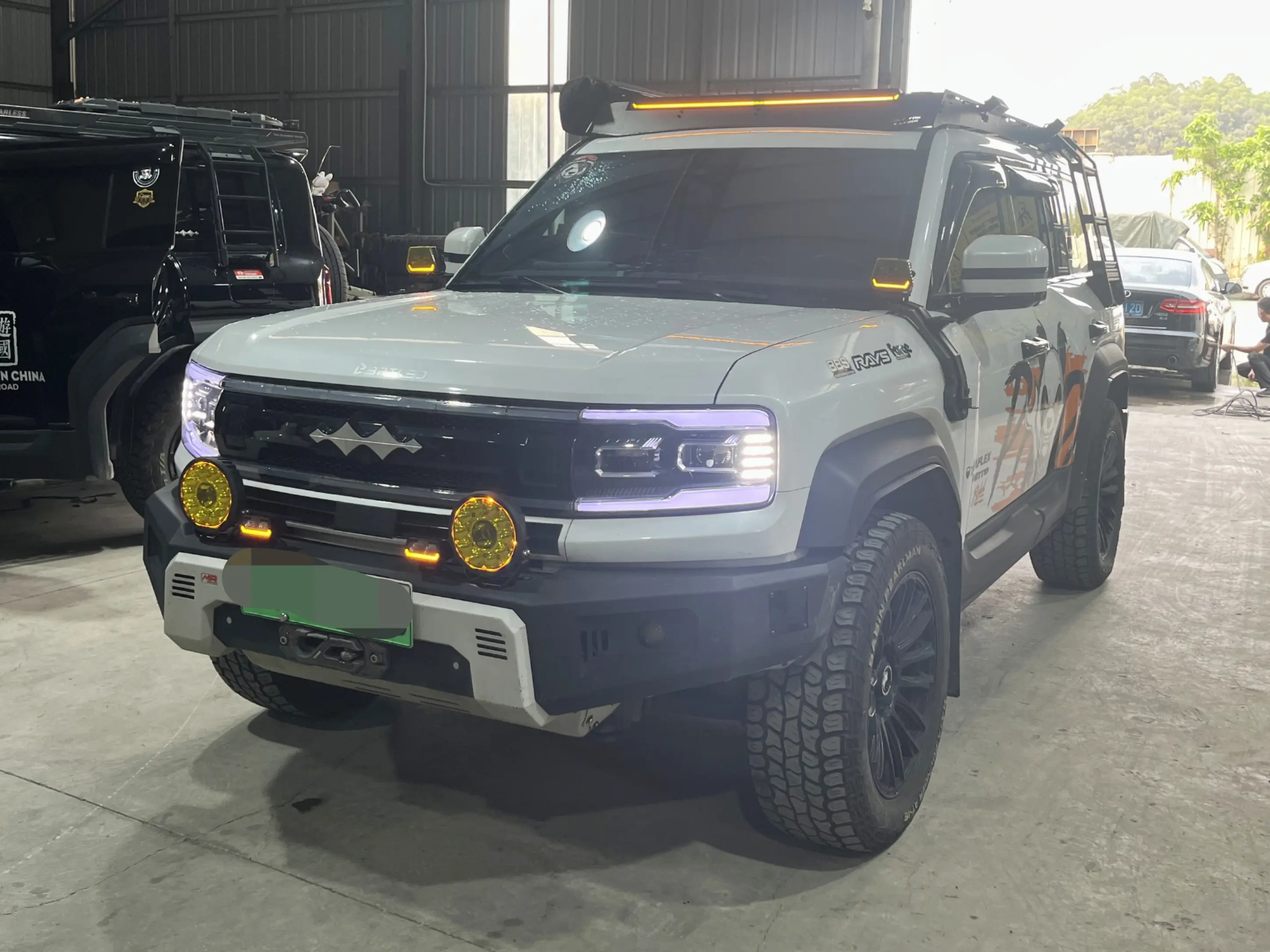 BYD Leopard Leopard 5