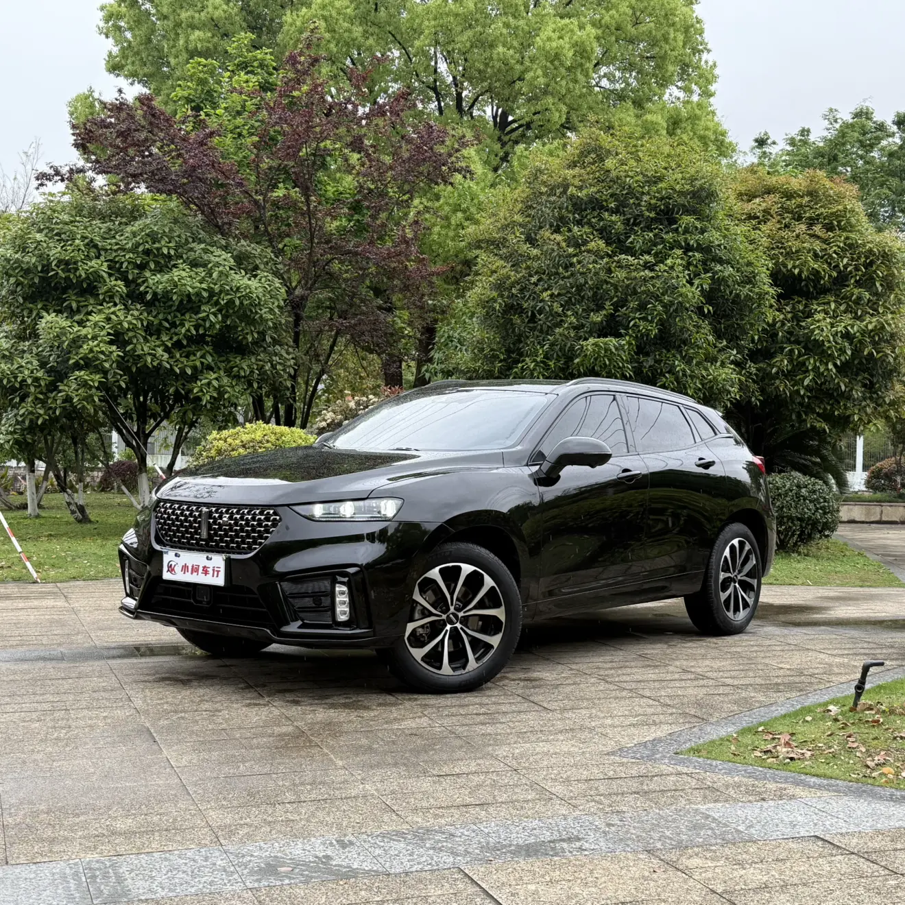 Wey Wei brand VV7