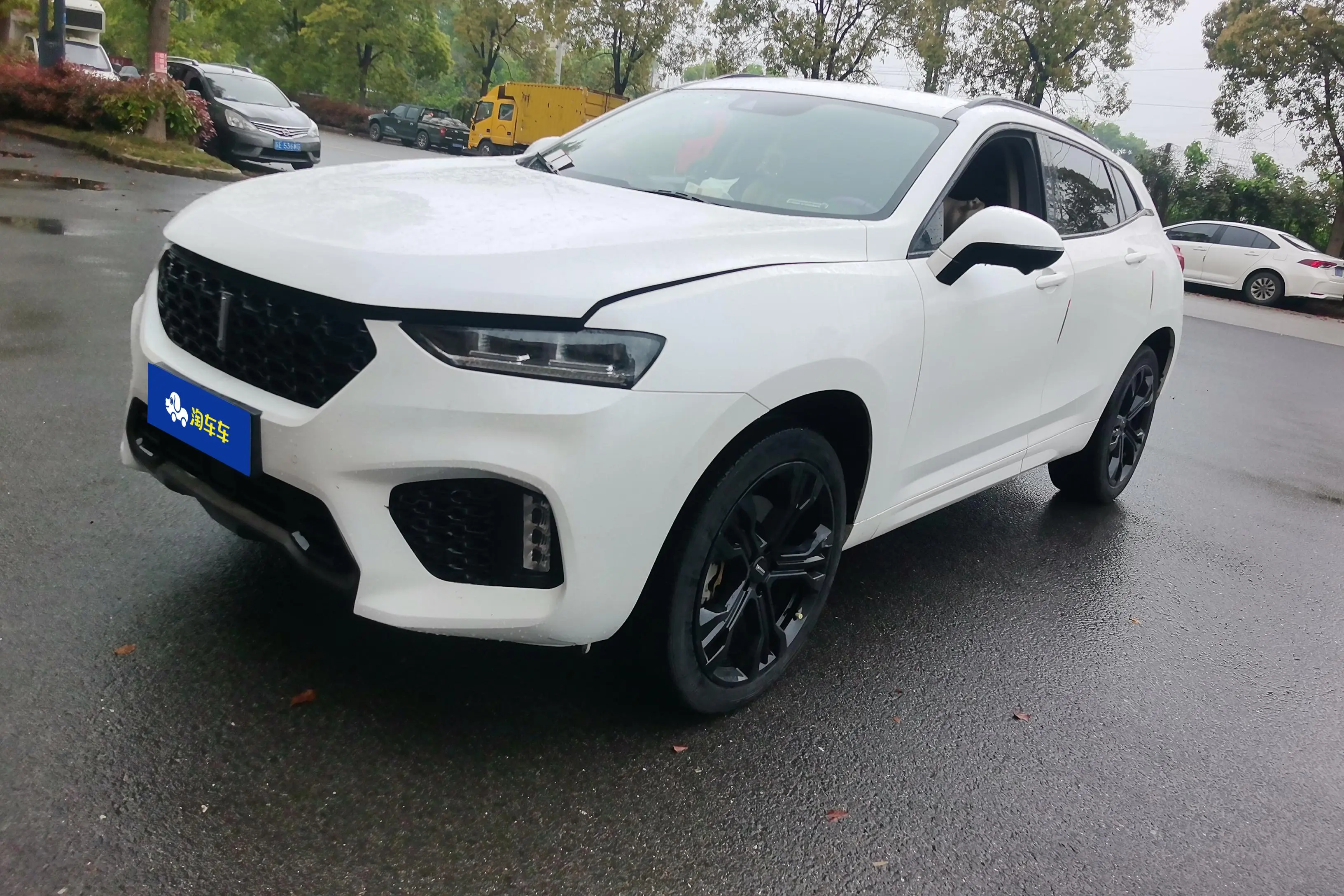 Wey Wei brand VV7