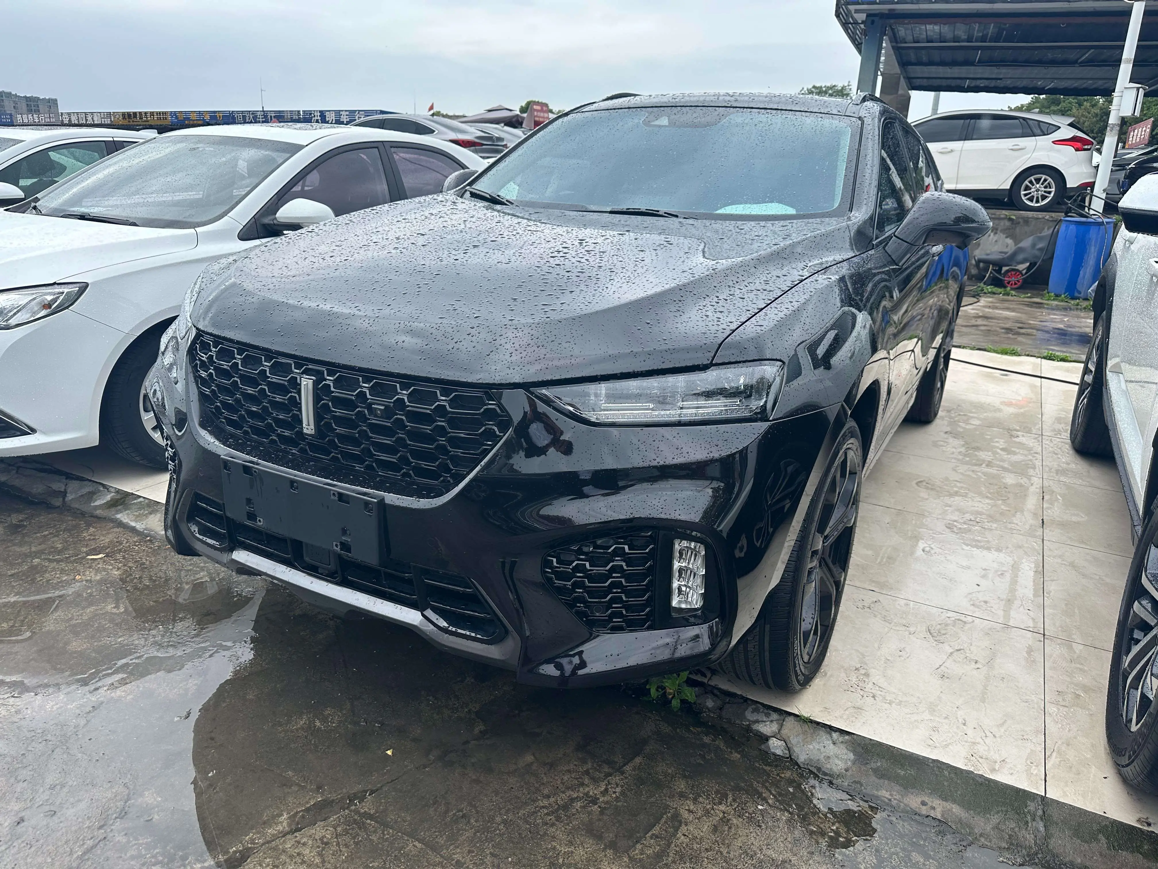 Wey Wei brand VV7