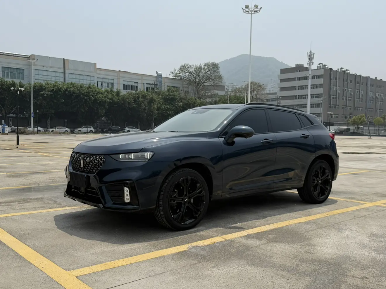 Wey Wei brand VV7