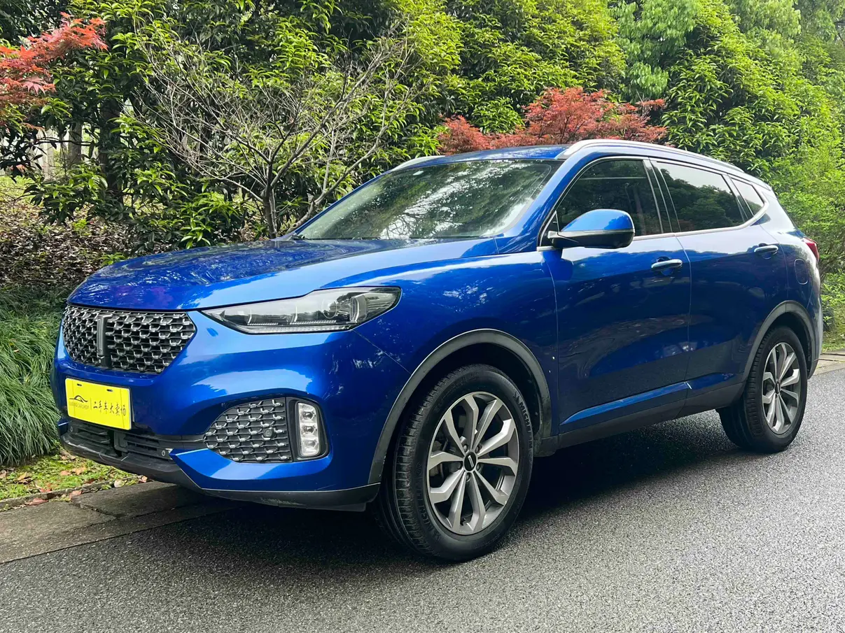 Wey Wei brand VV6