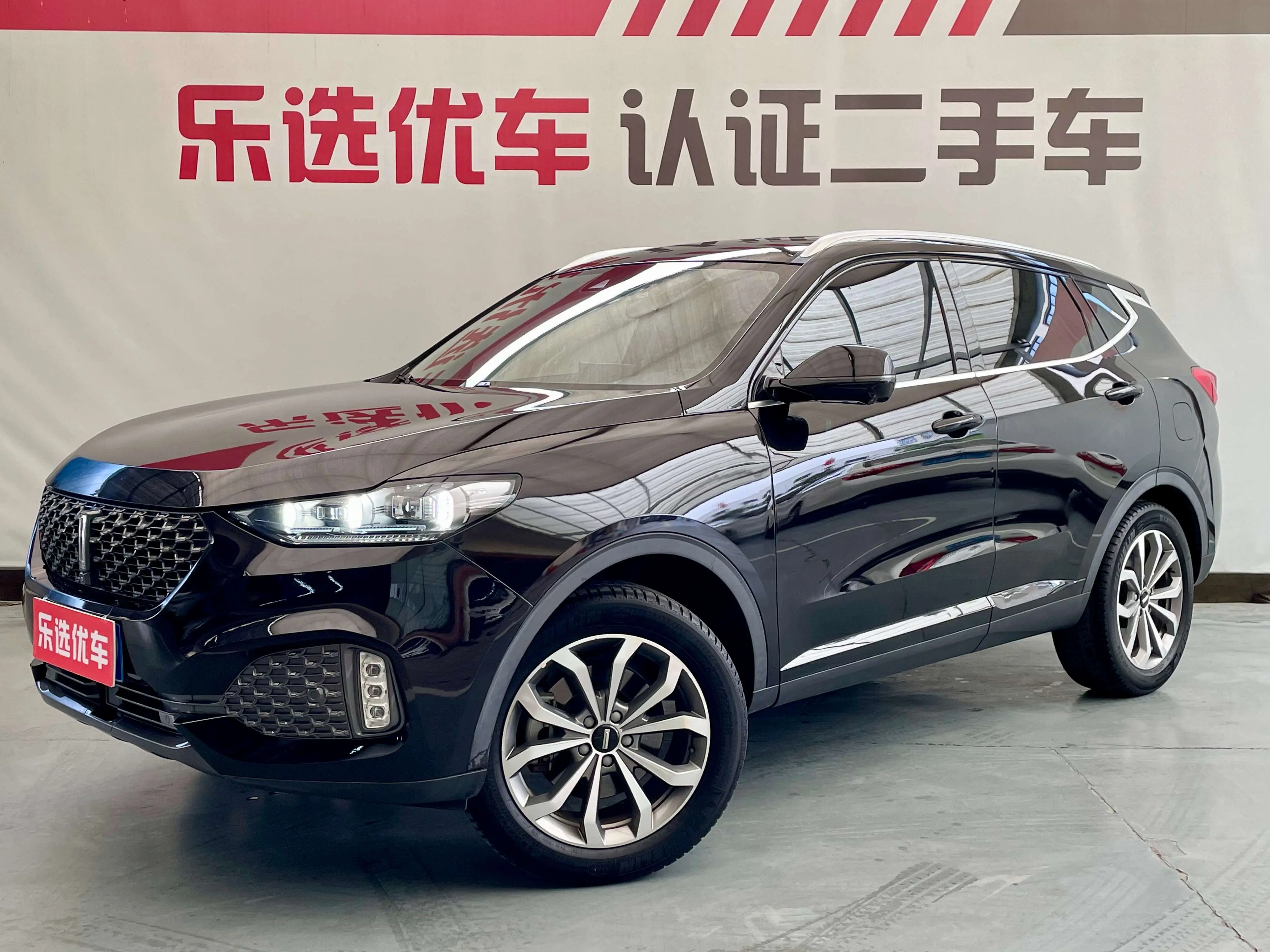 Wey Wei brand VV6