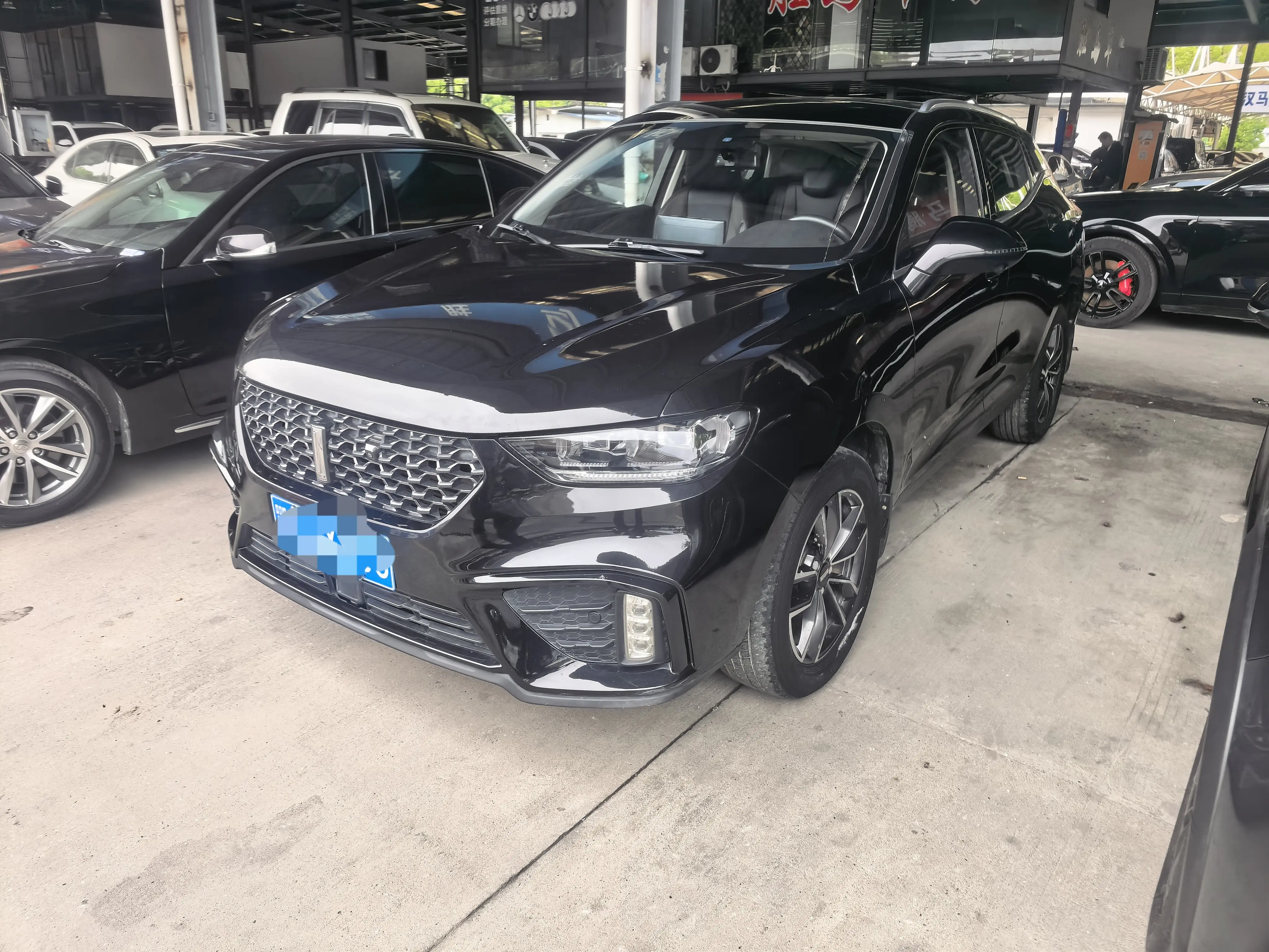 Wey Wei brand VV5