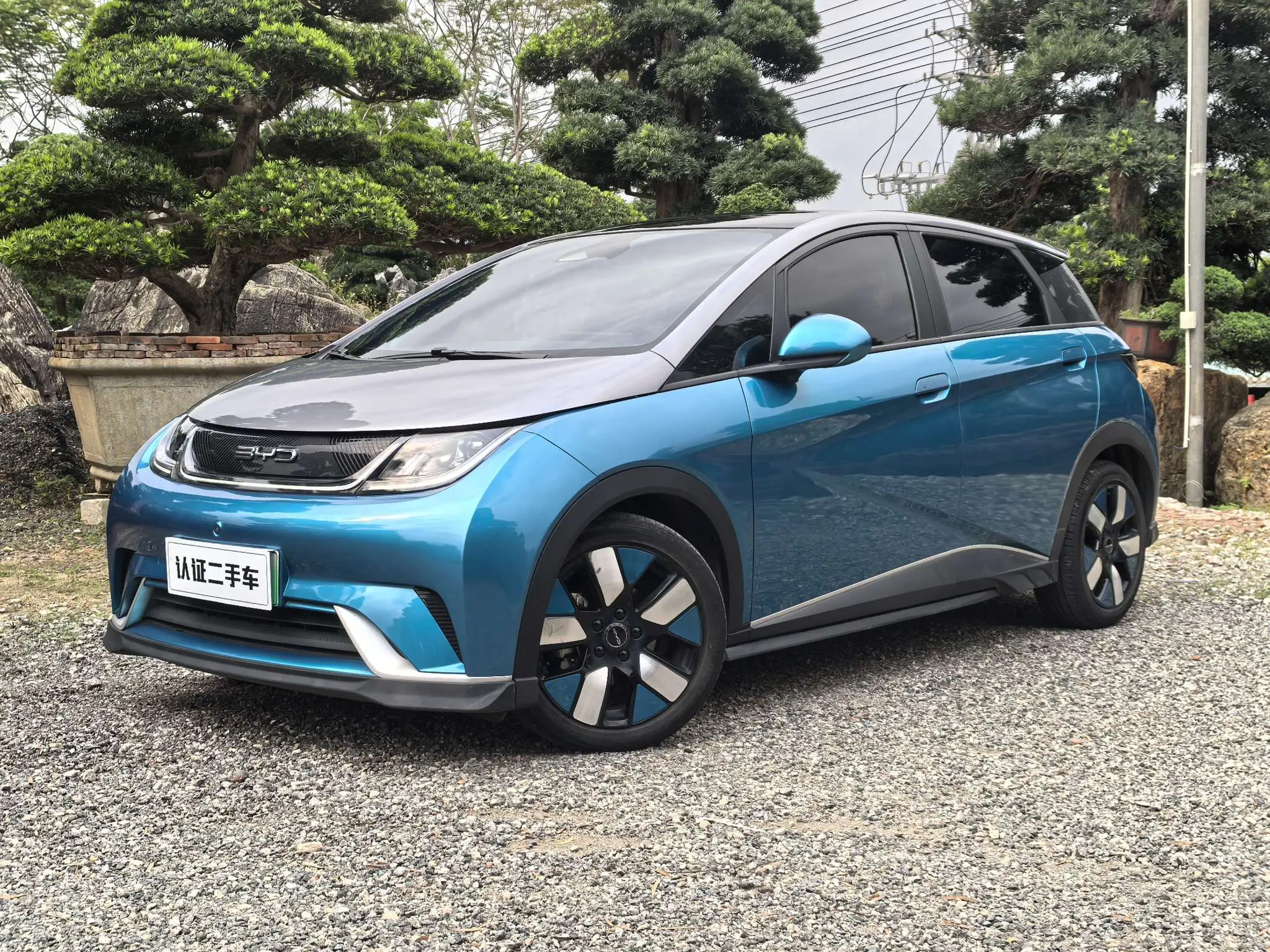 BYD Dolphin
