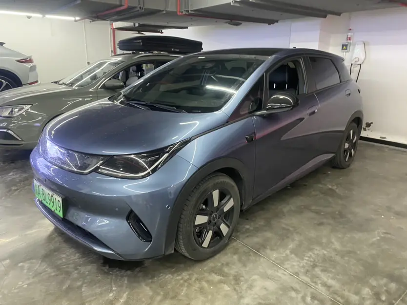 BYD Dolphin