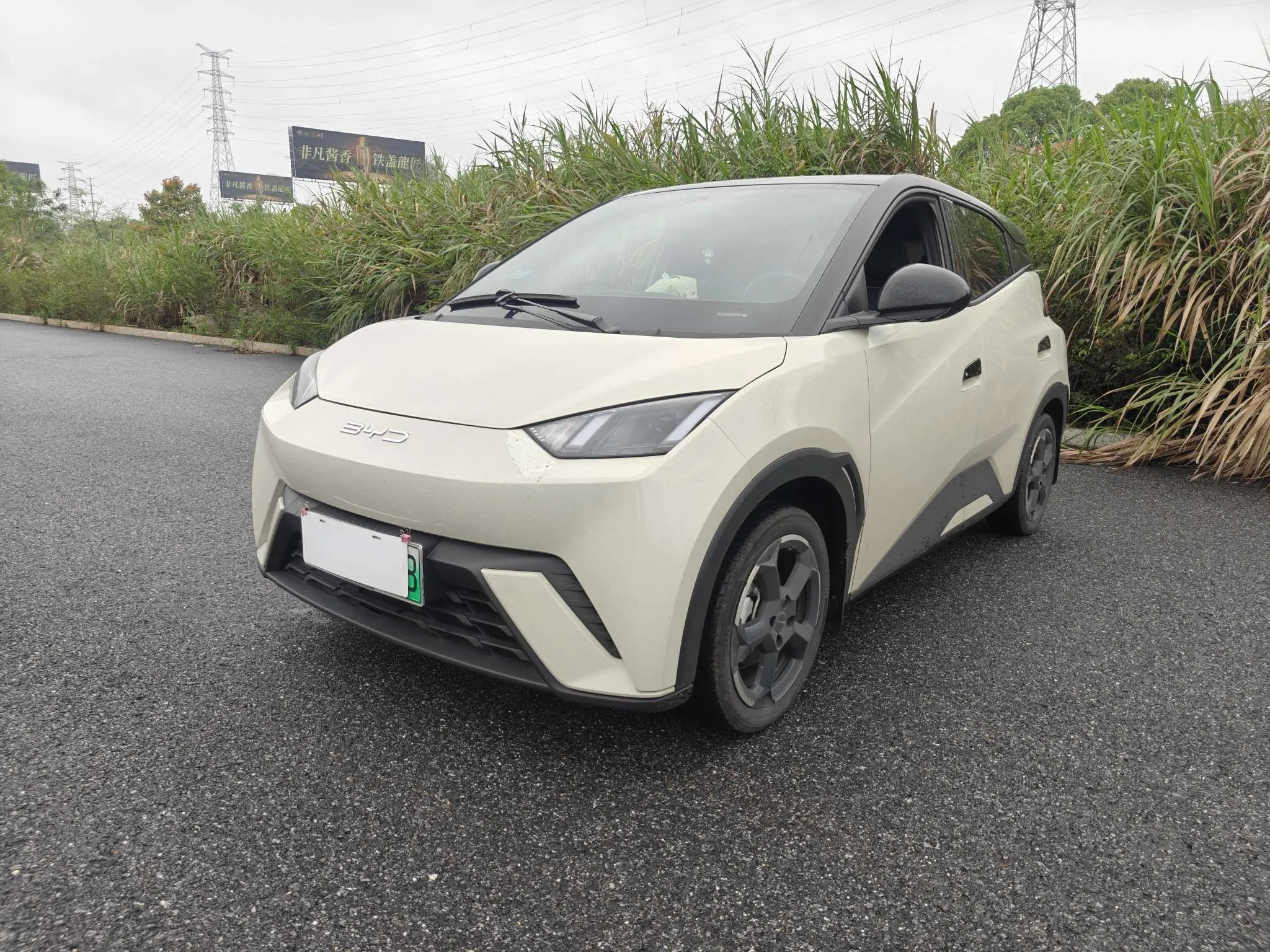 BYD Seagull