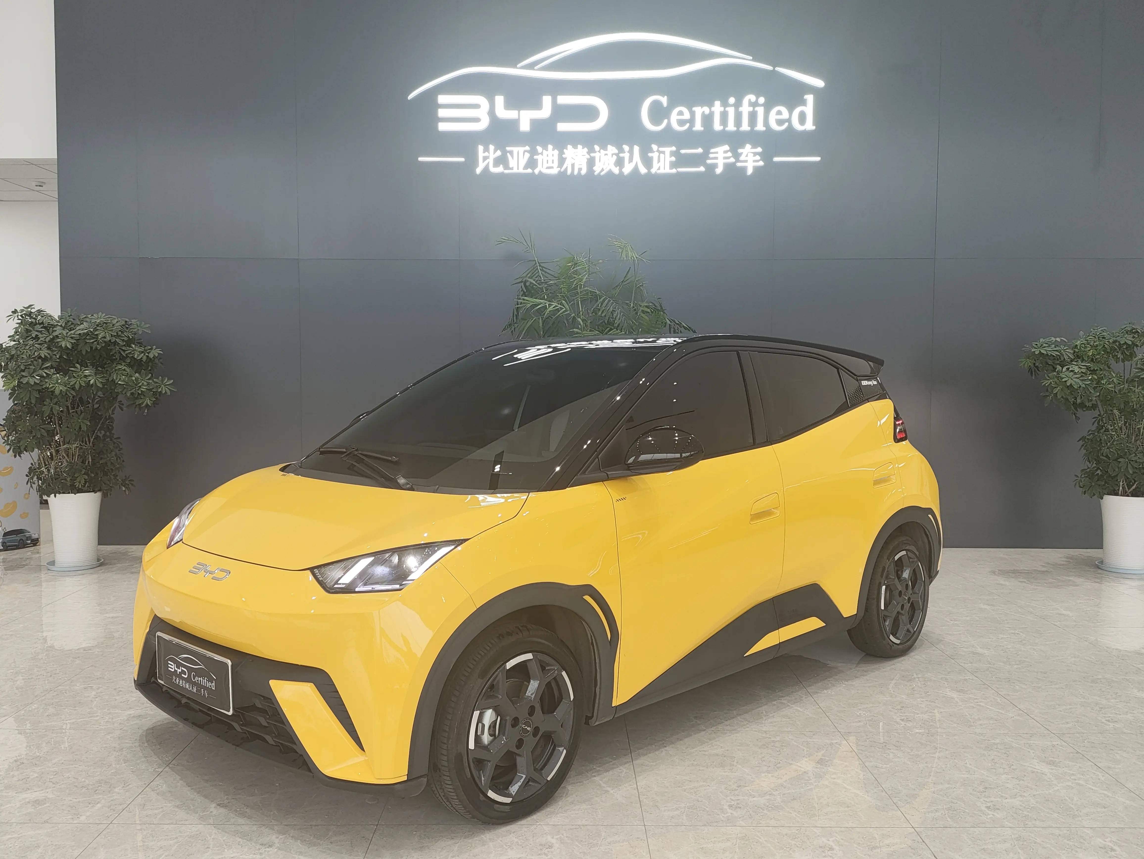 BYD Seagull