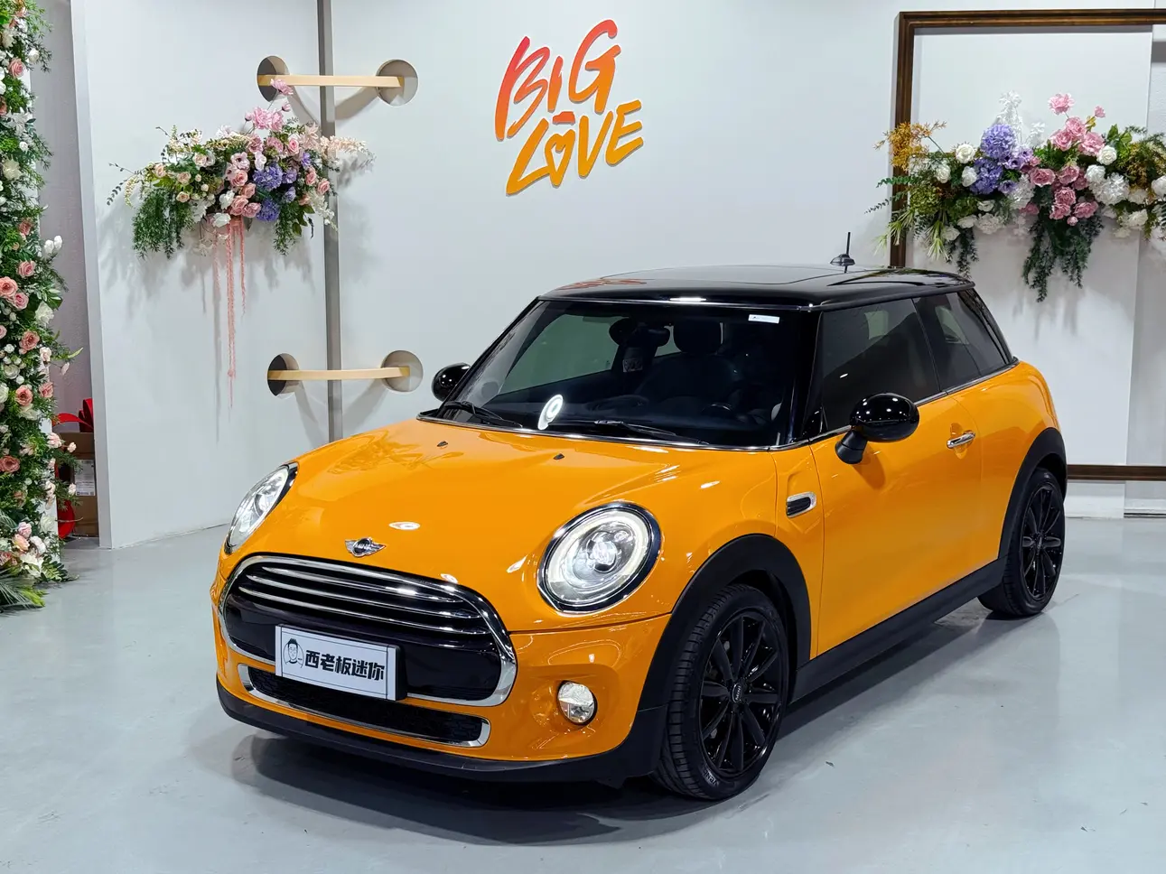 MINI MINI