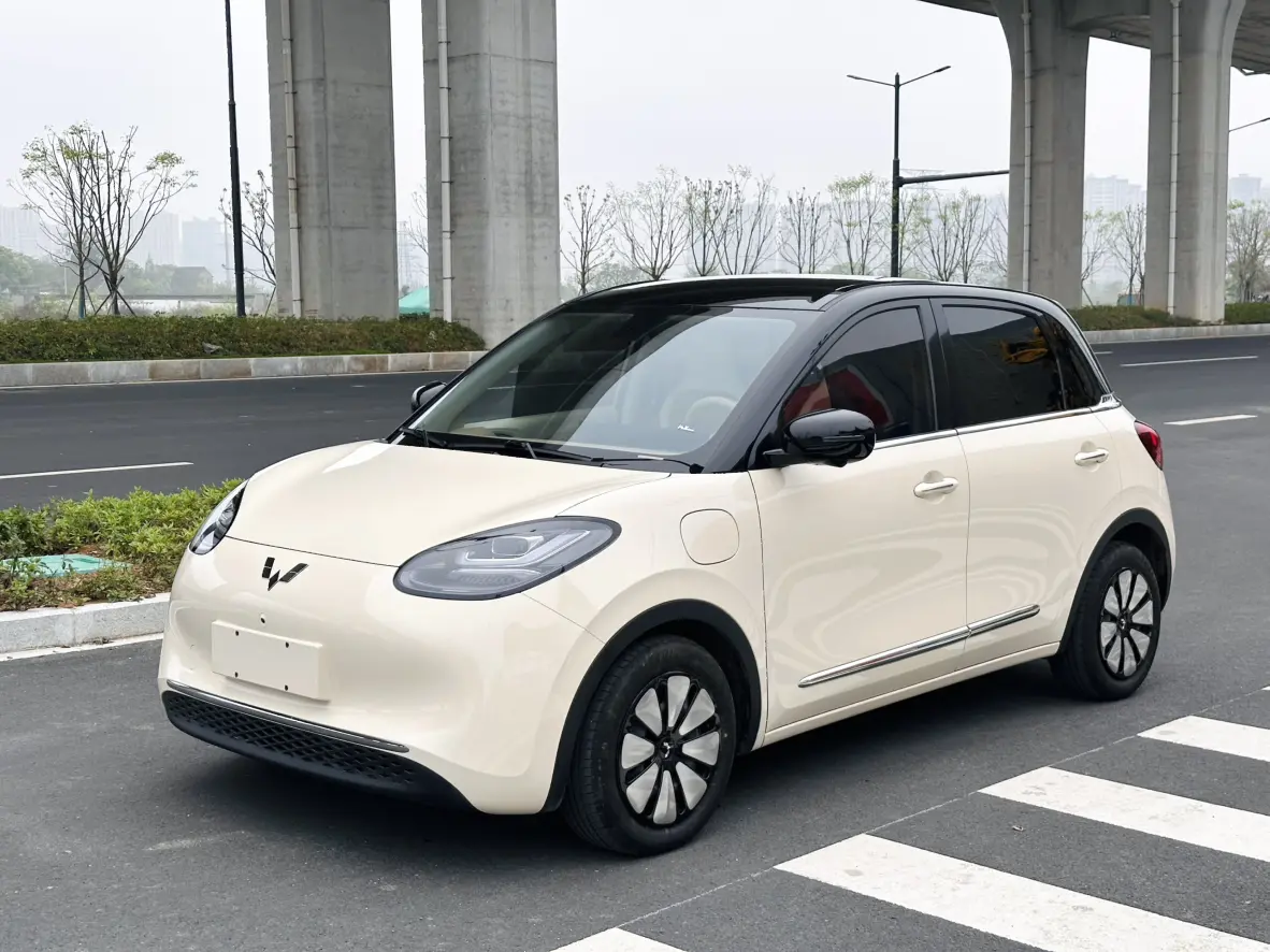Wuling Bingo