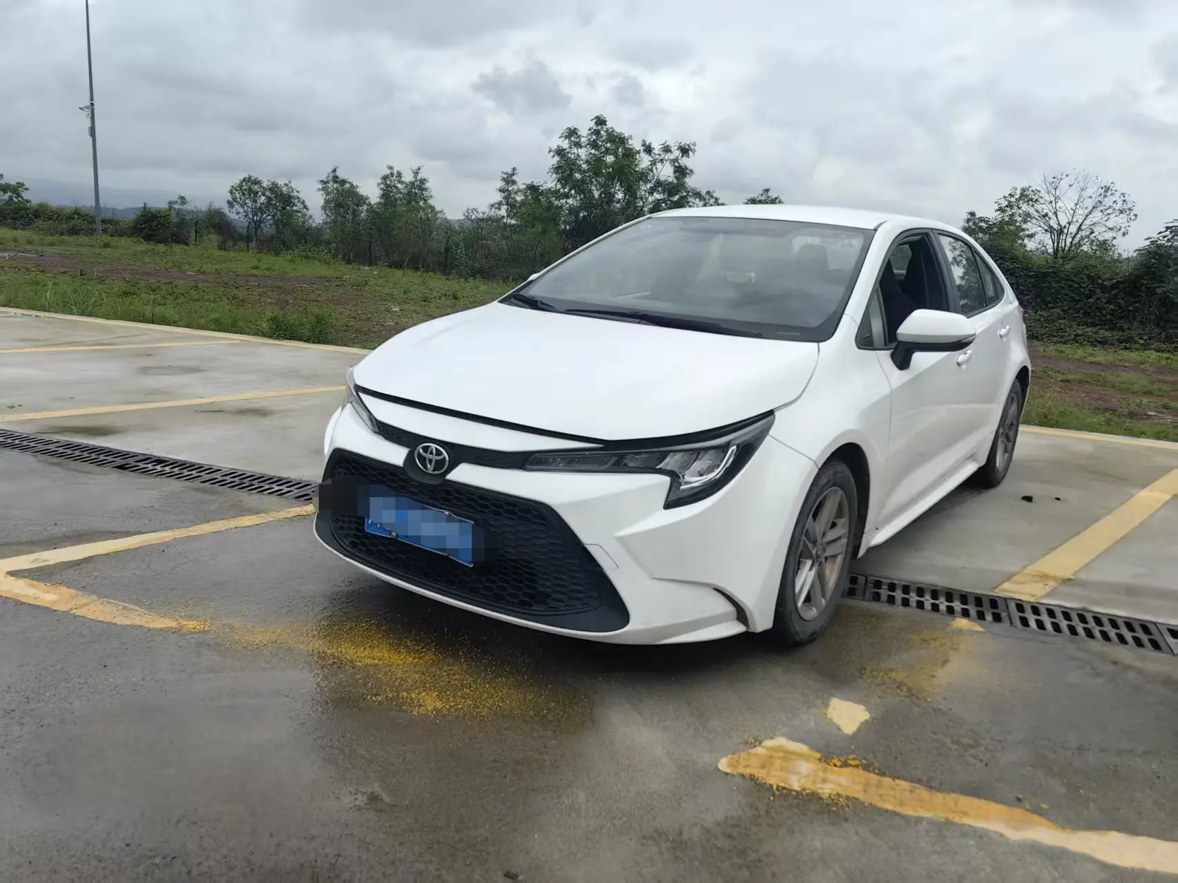 Toyota Levin