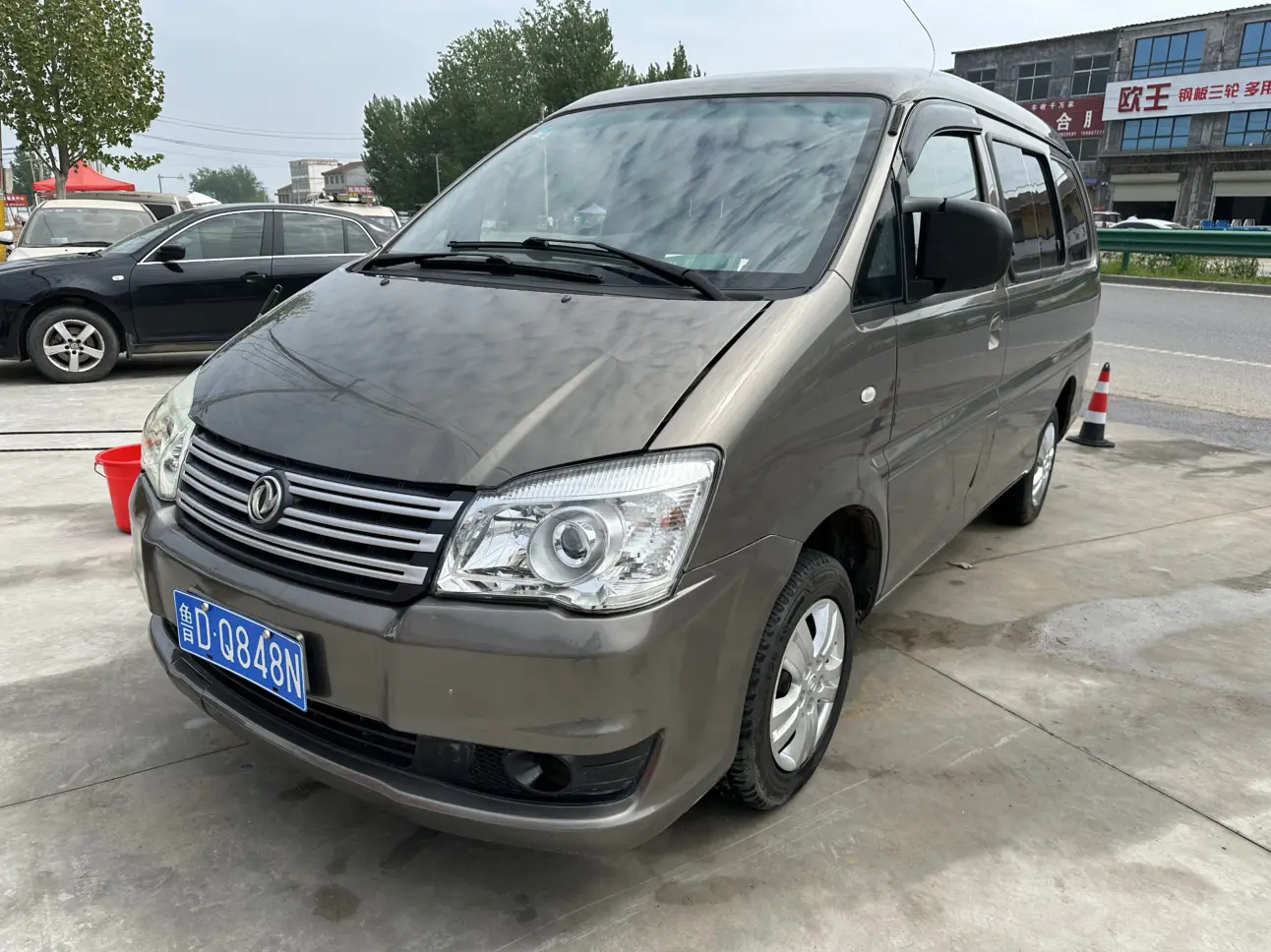Forthing Lingzhi