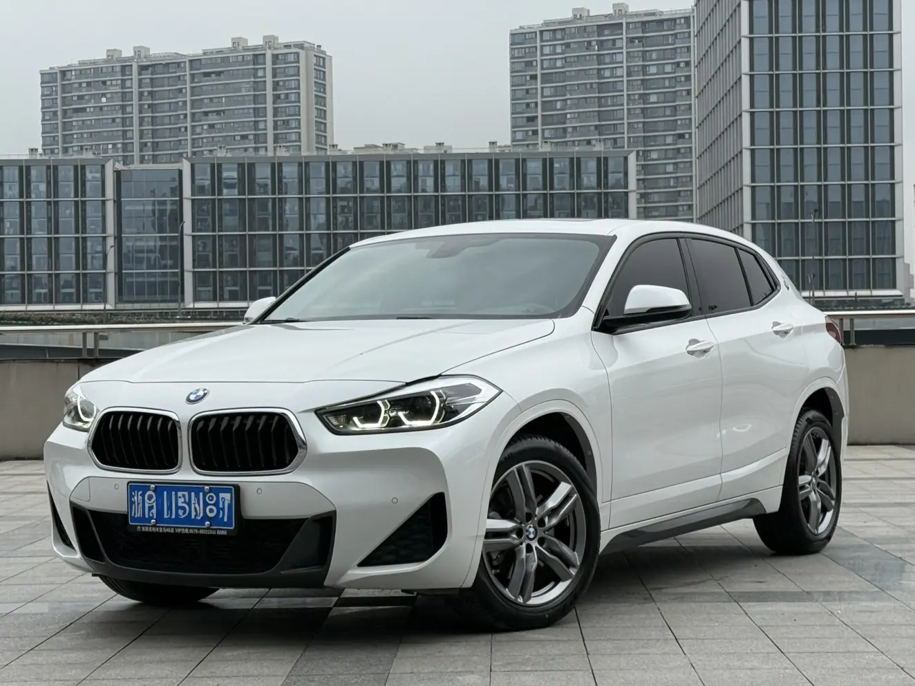 BMW X2