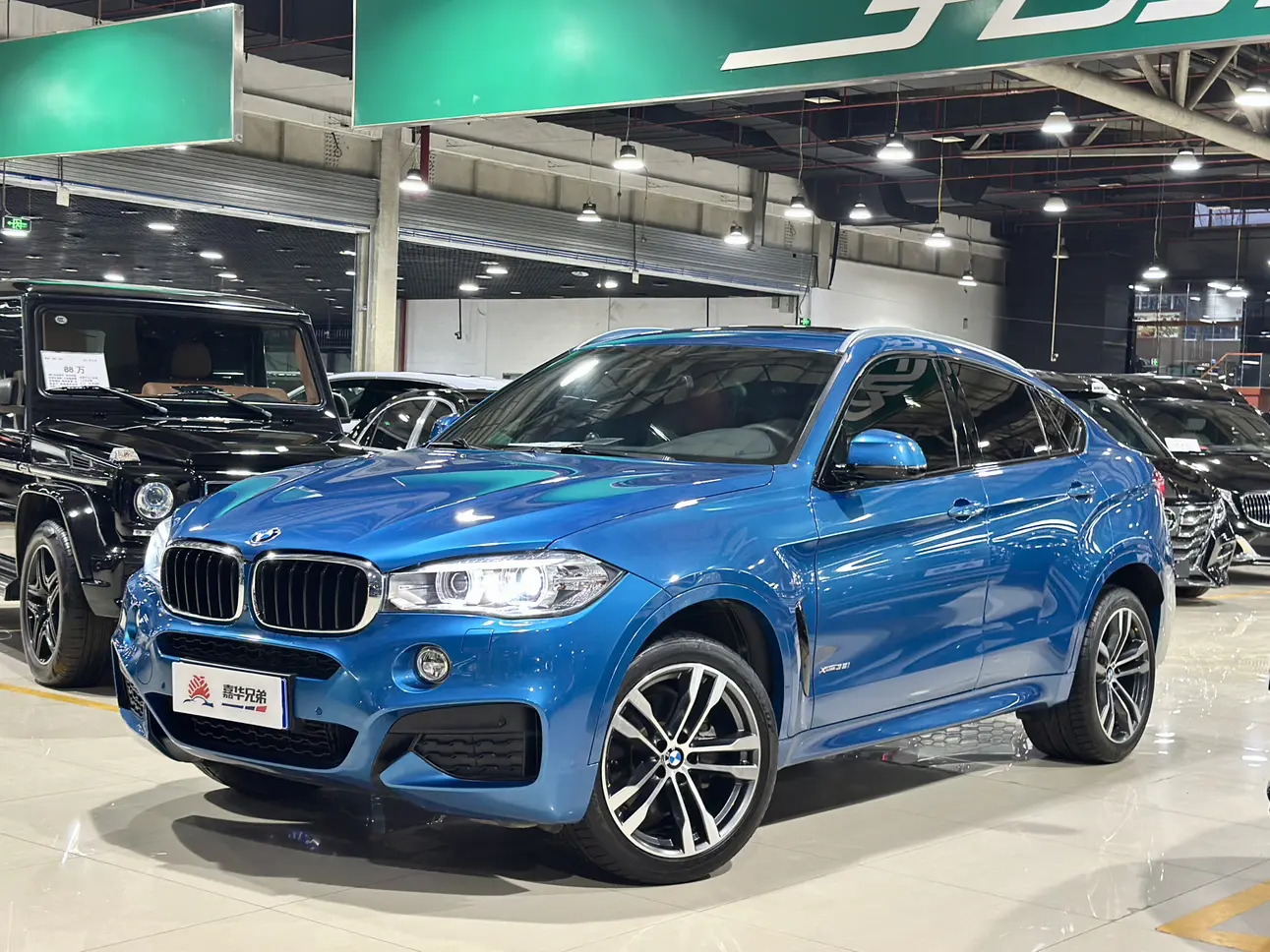 BMW X6