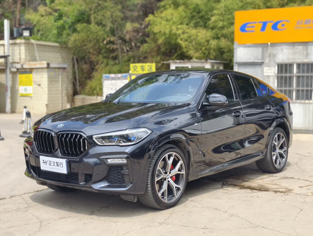 BMW X6