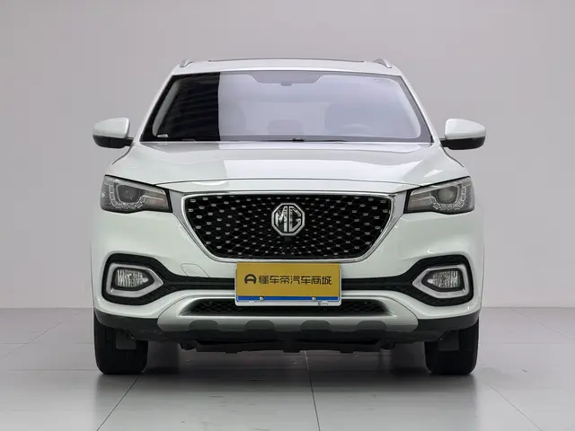 MG H.S.