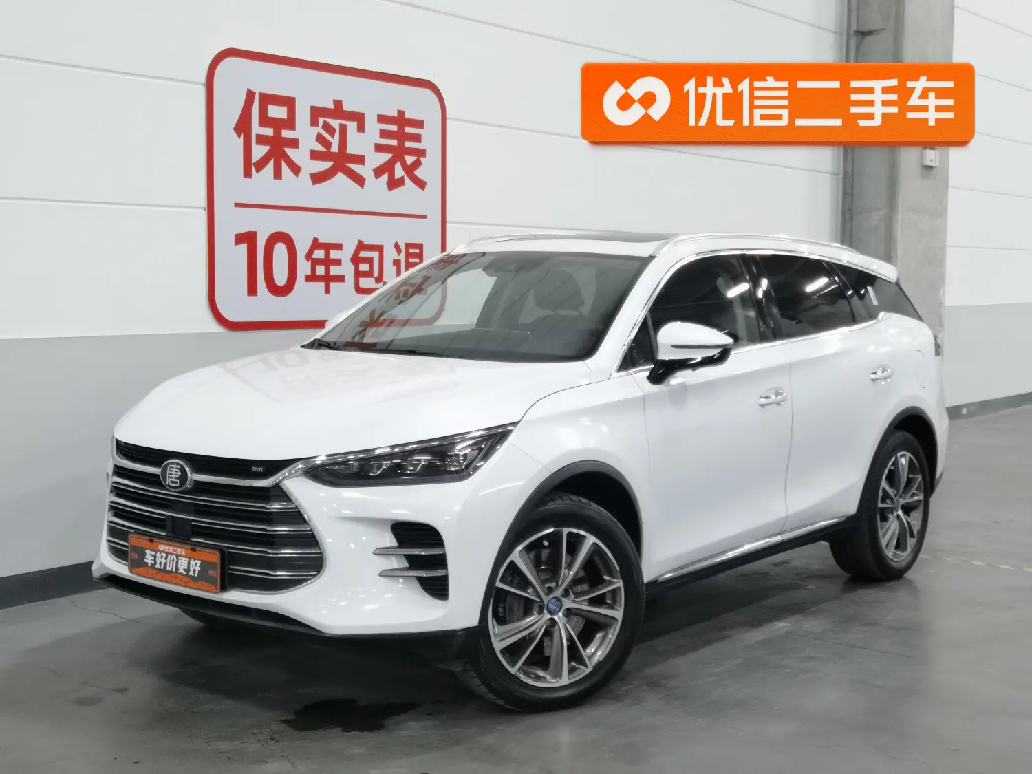 BYD Tang DM