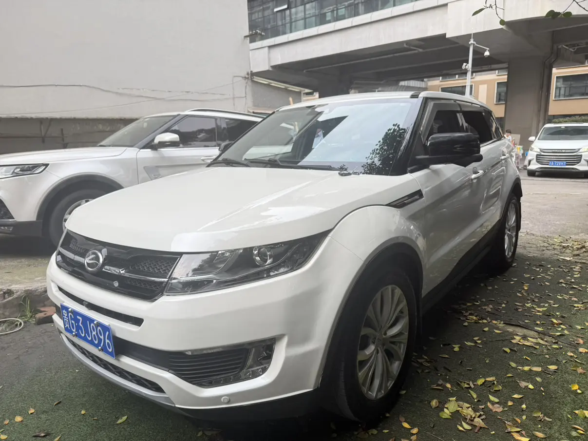 Lu Feng Landwind X7