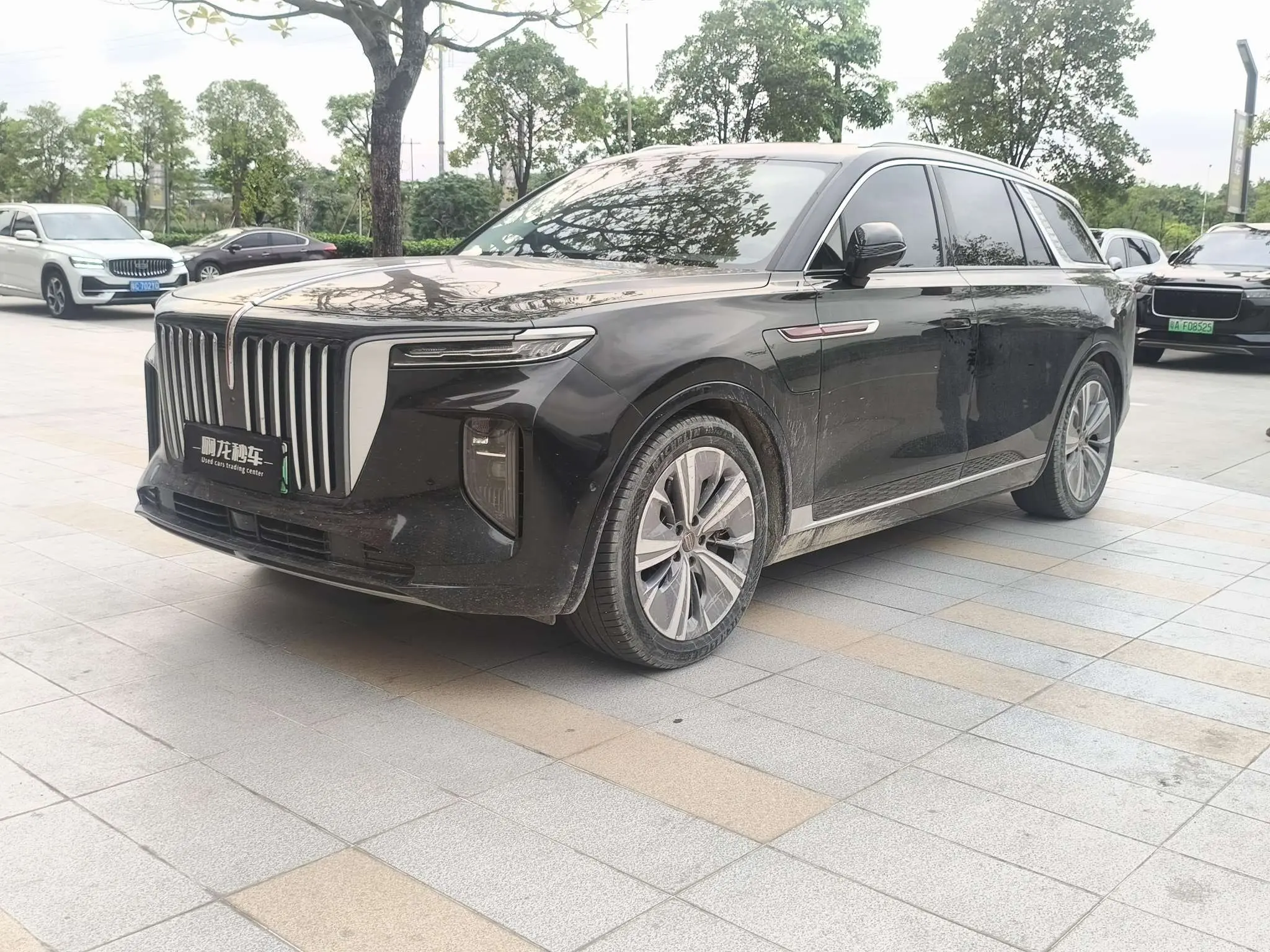 Hongqi E-HS9