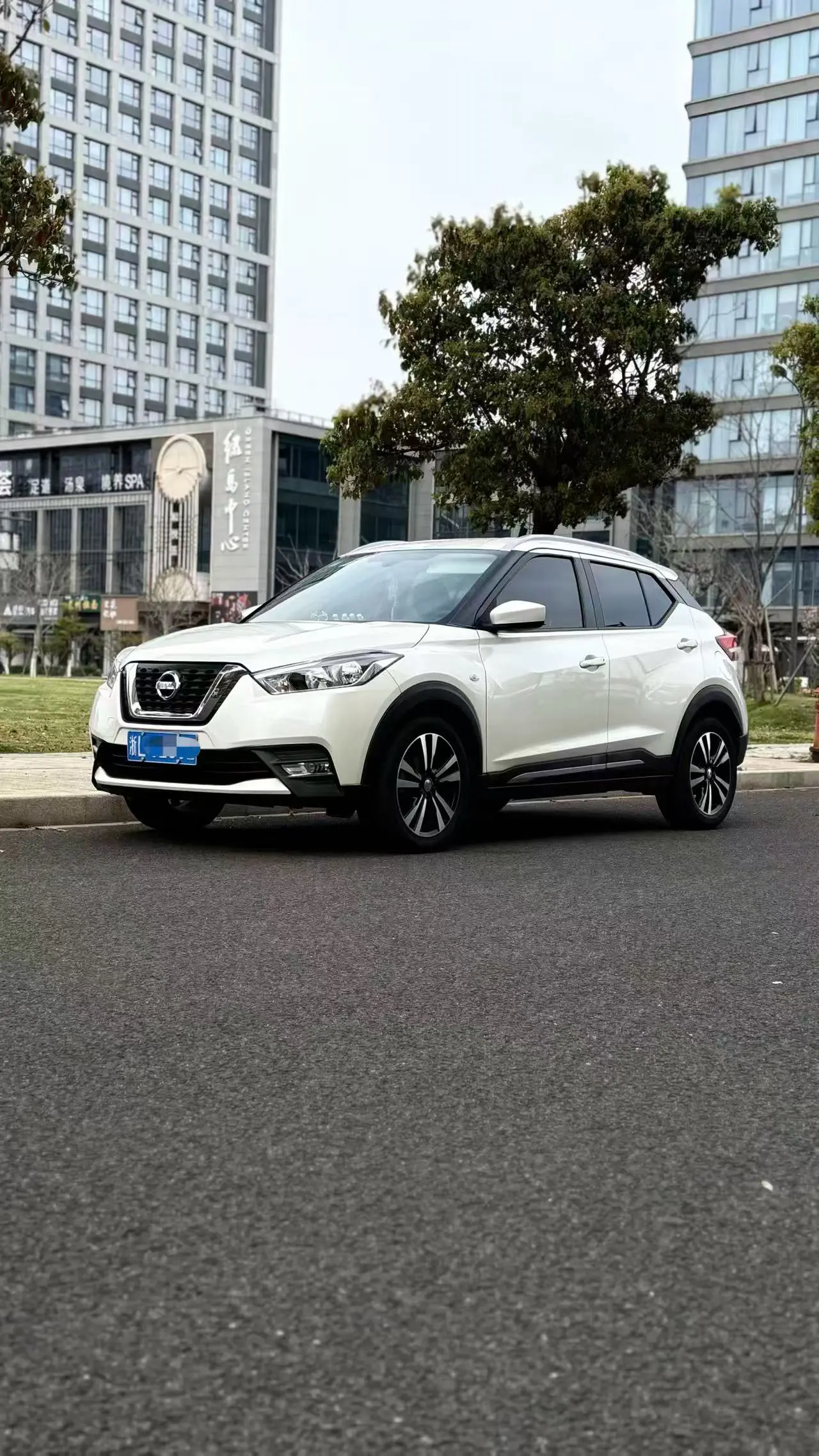 Nissan Jinke