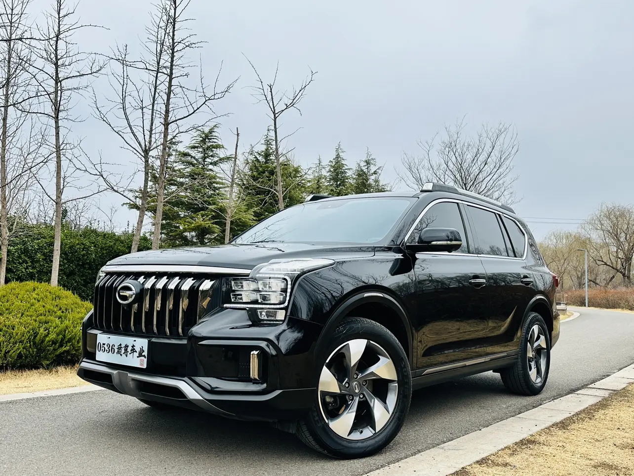GAC Trumpchi GS8