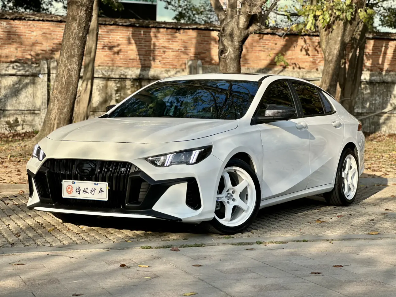 GAC Shadow Leopard