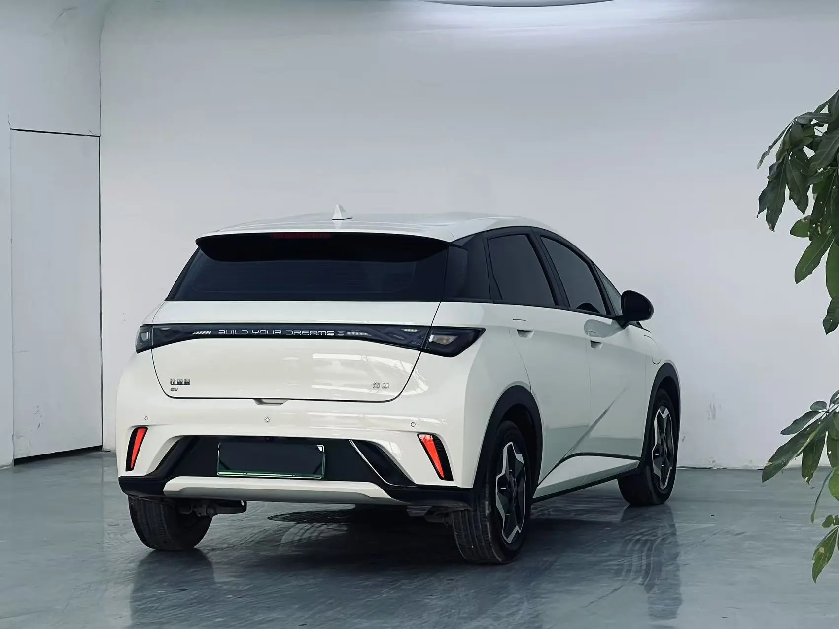 BYD Dolphin