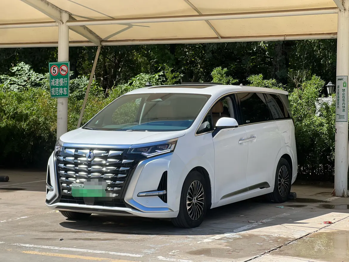 Denza D9 DM