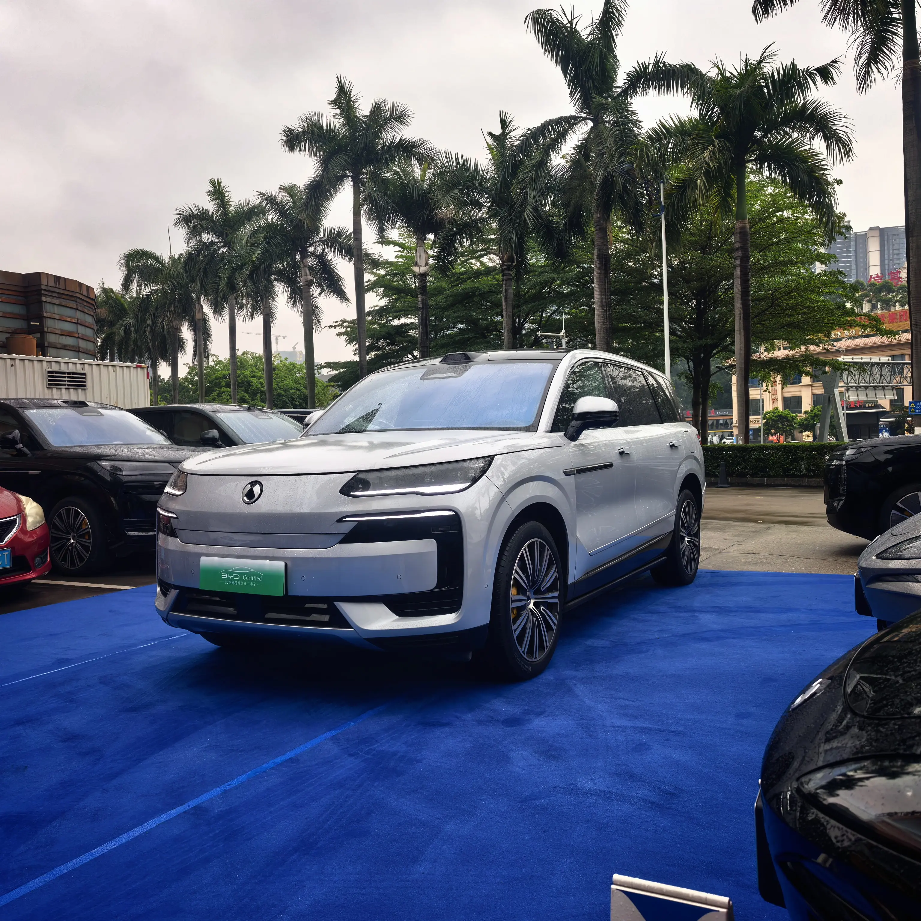 Denza Tengzhong N9 DM