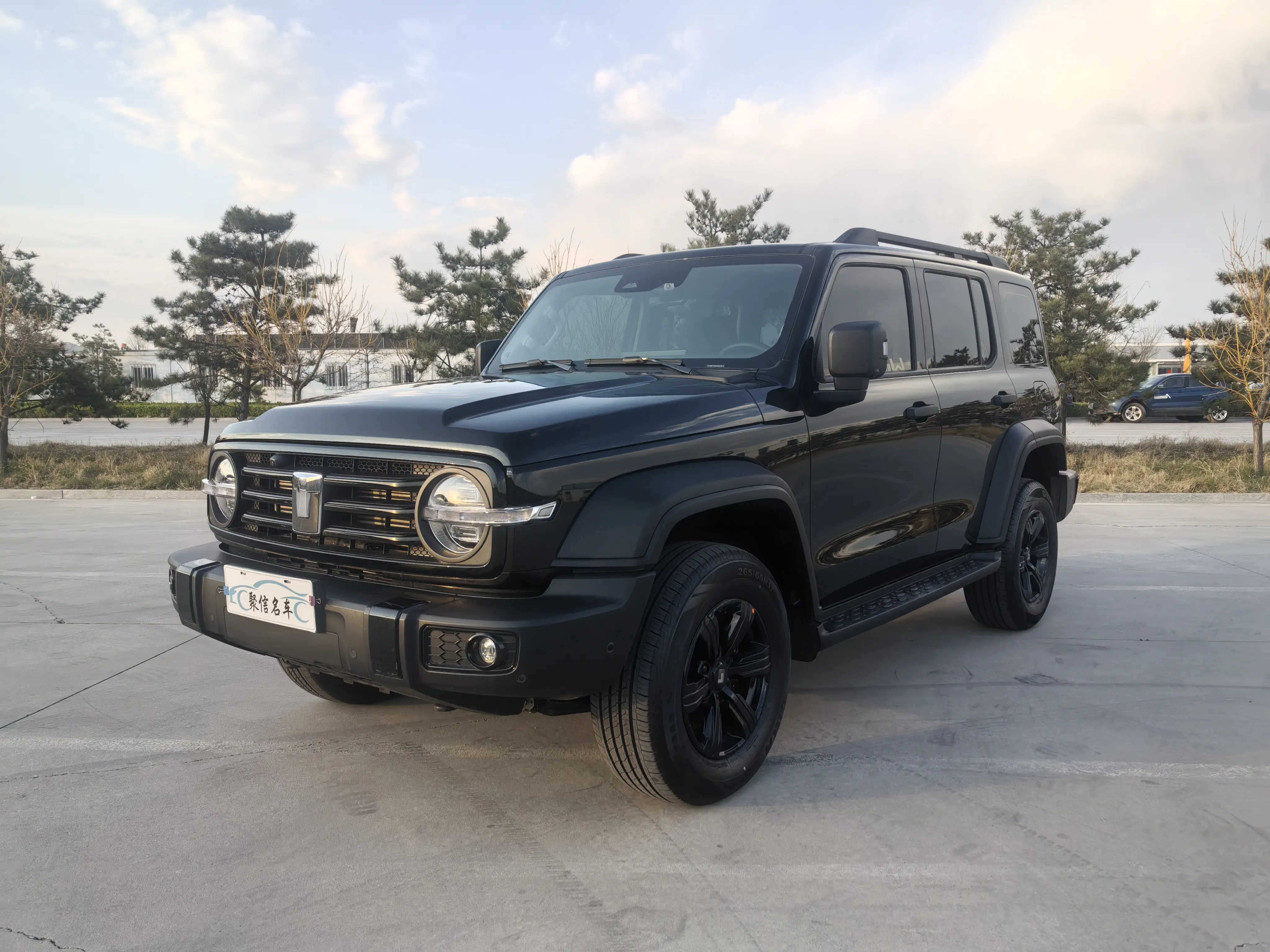 Tank 300