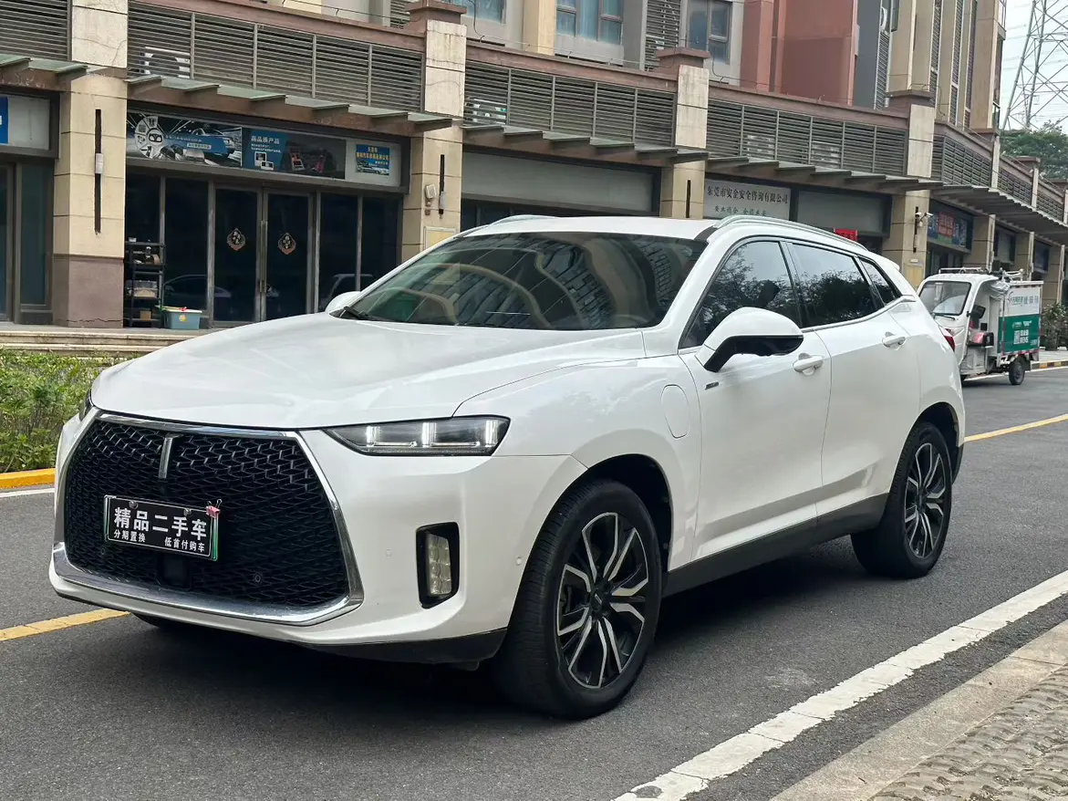 Wey Wei brand P8