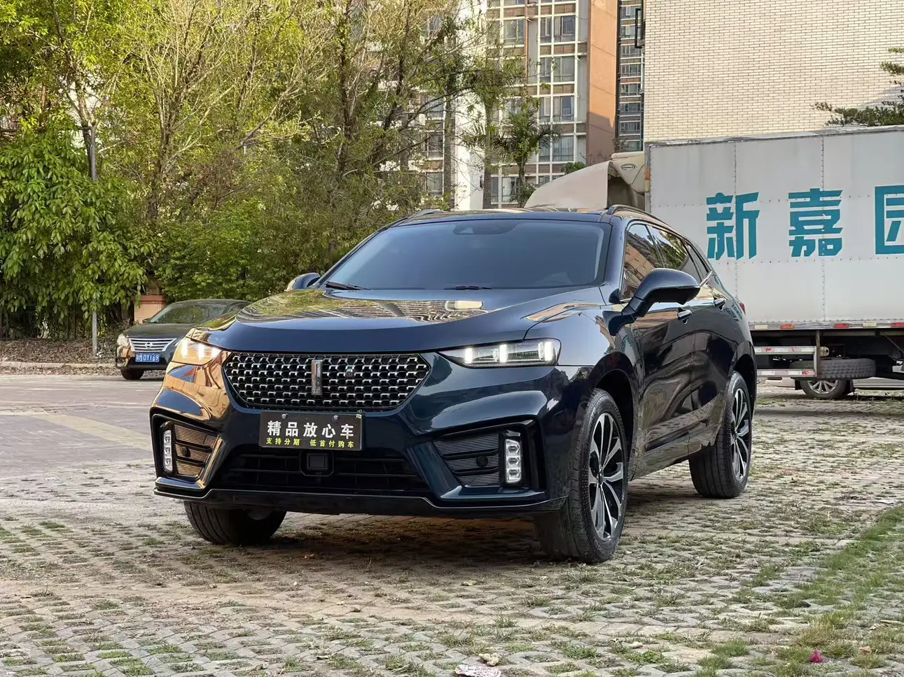 Wey Wei brand VV7