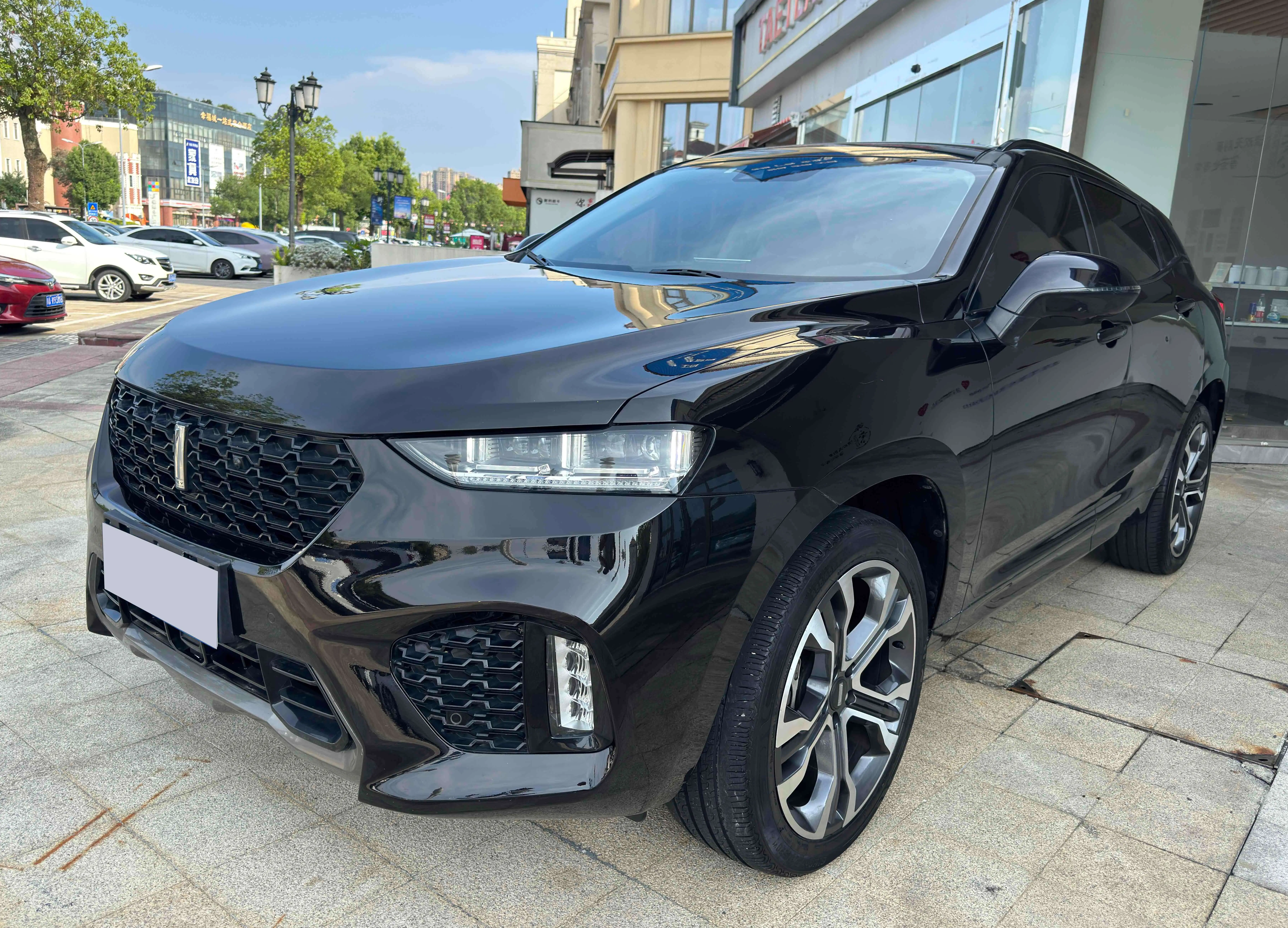 Wey Wei brand VV7