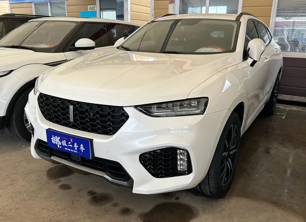 Wey Wei brand VV7