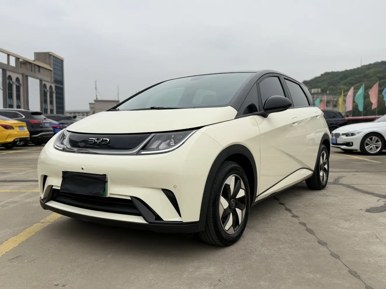BYD Dolphin