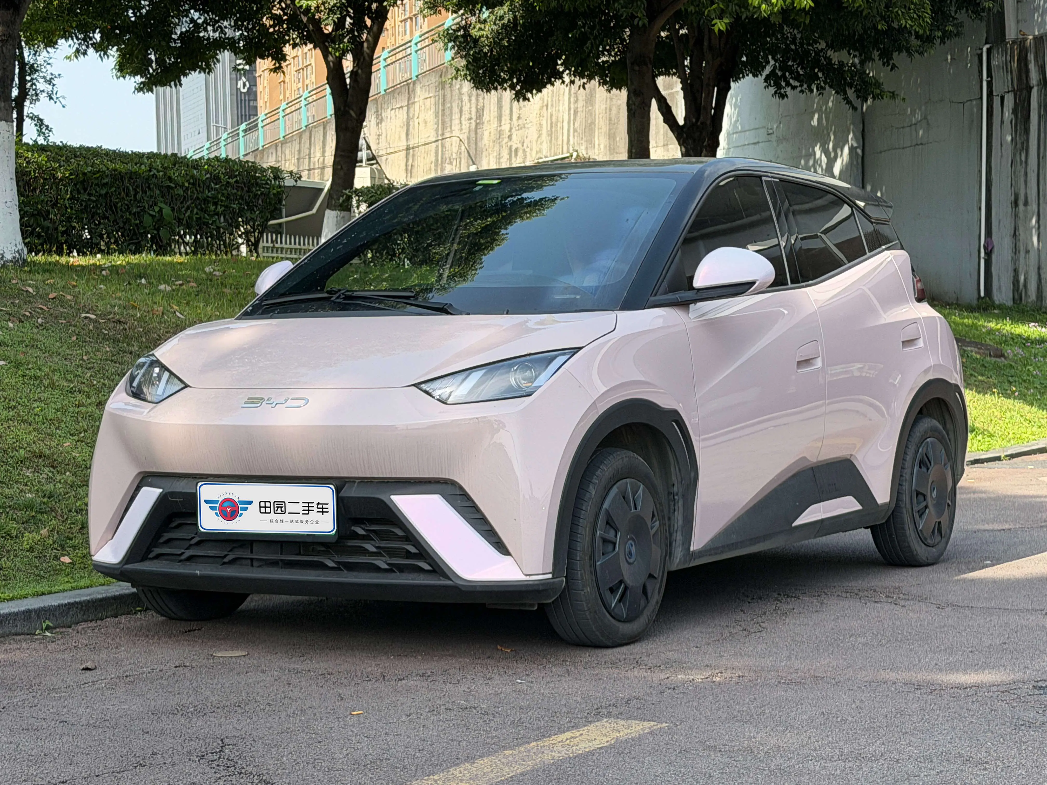 BYD Seagull