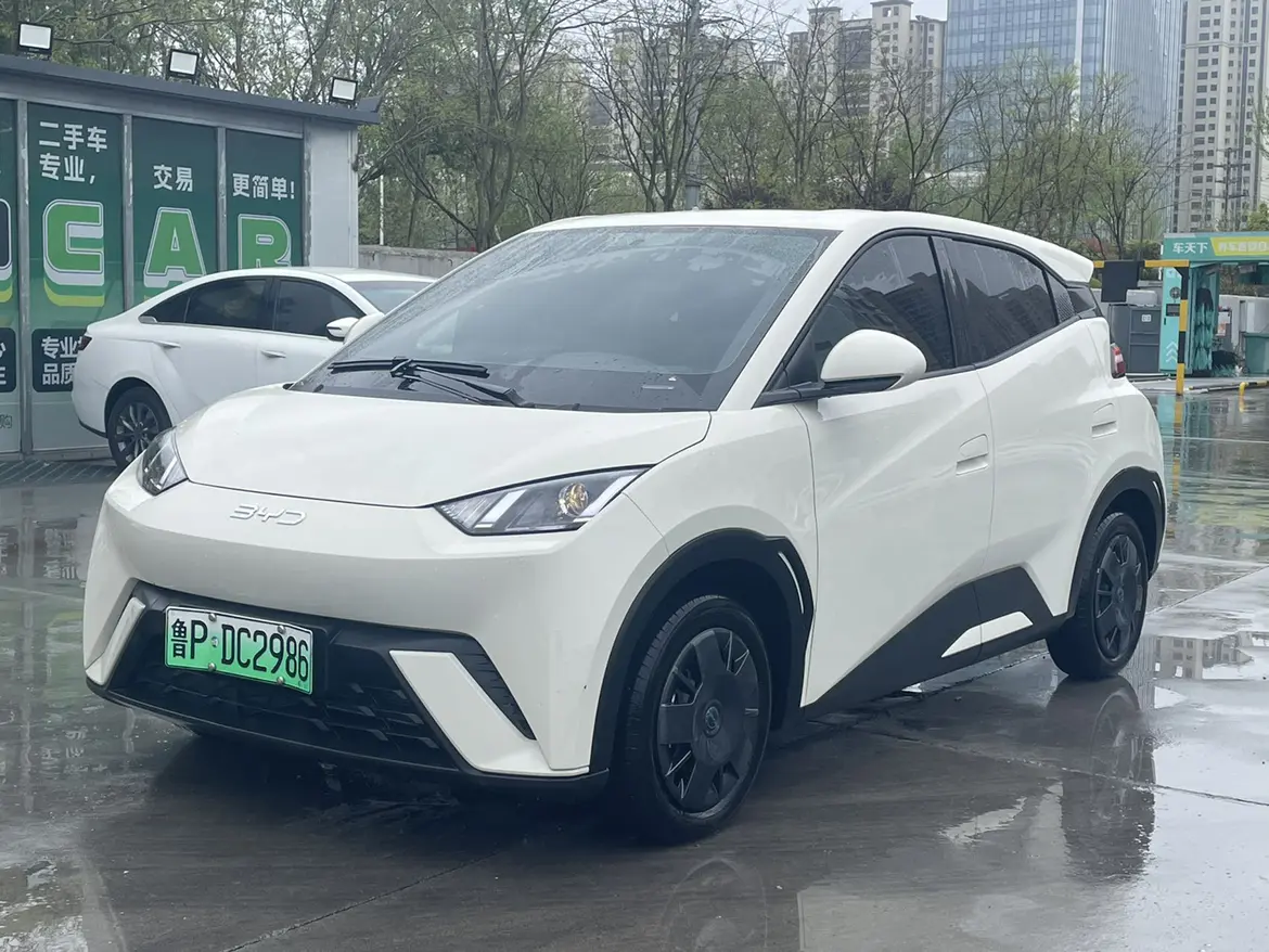 BYD Seagull