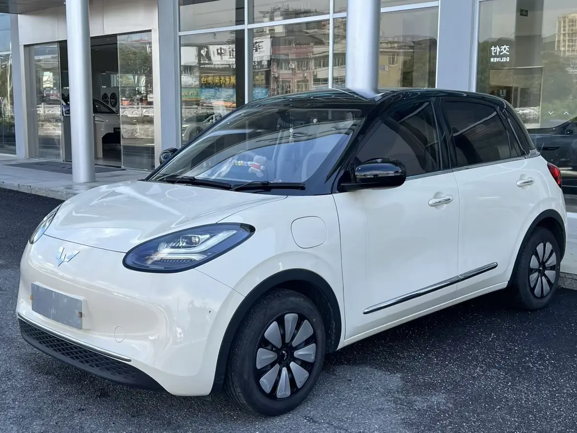 Wuling Bingo
