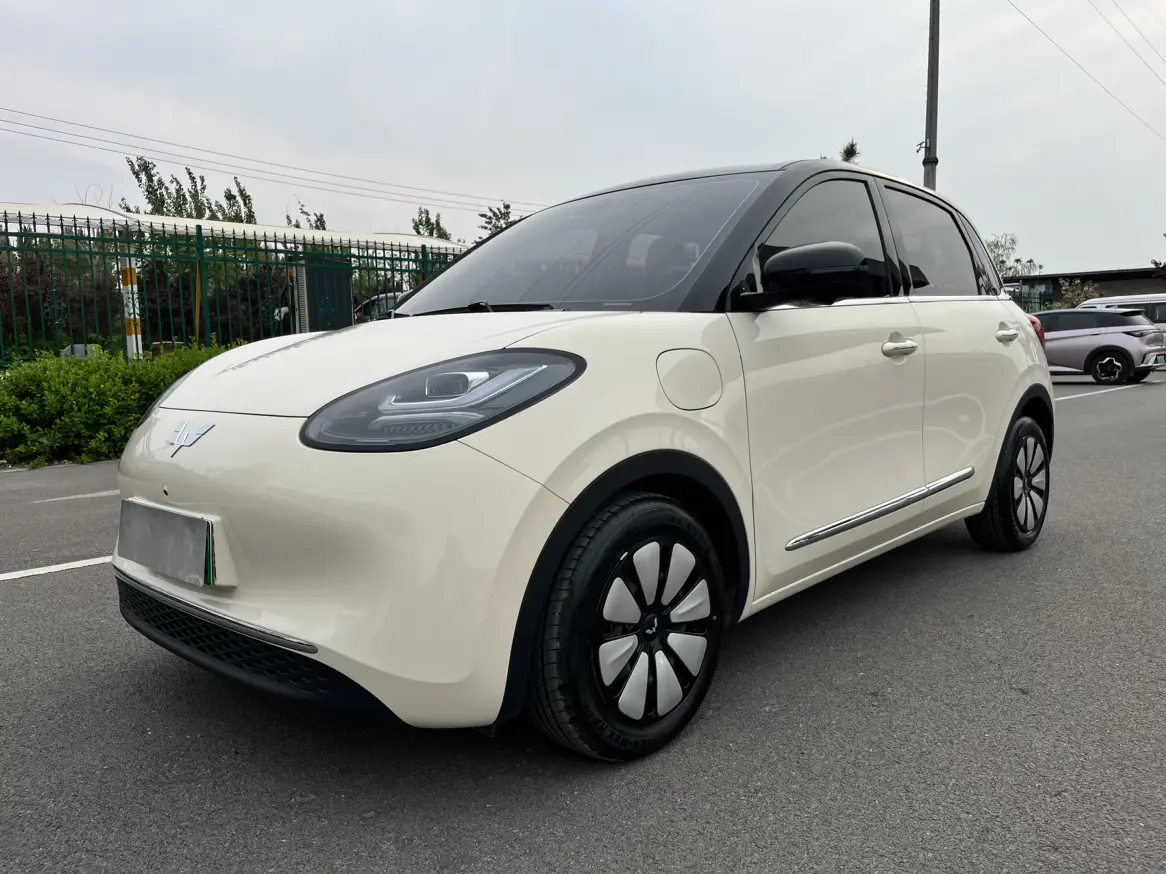 Wuling Bingo